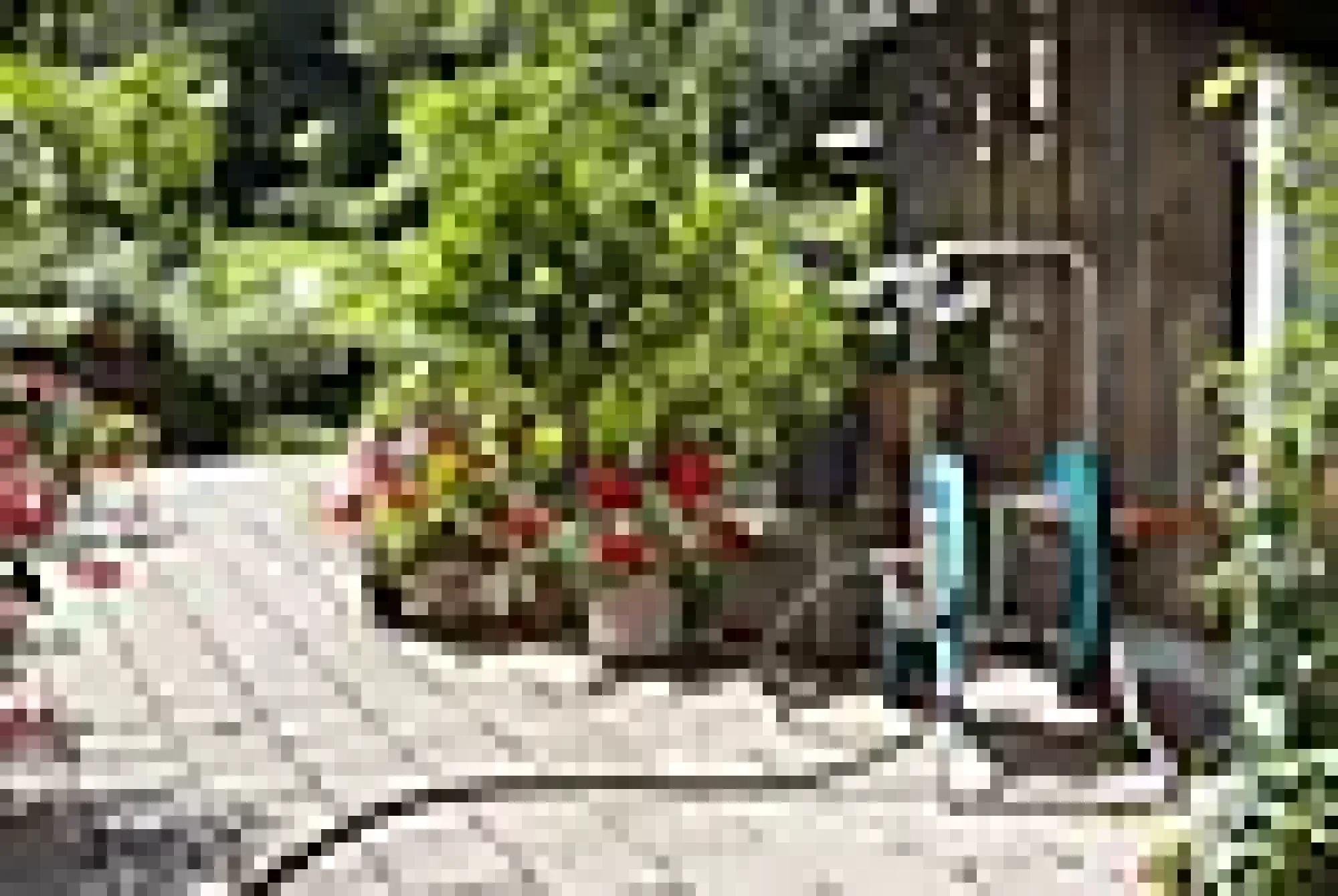 Slange tilkobling 1/2" 1,5m-Gardena Sale