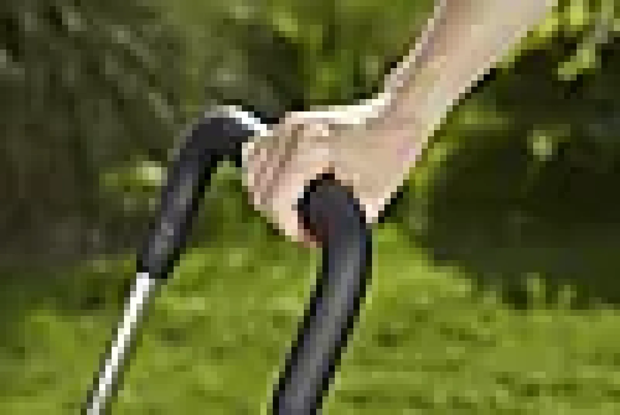 Slangevogn Cleverroll Easy med 20m flex slange-Gardena Discount