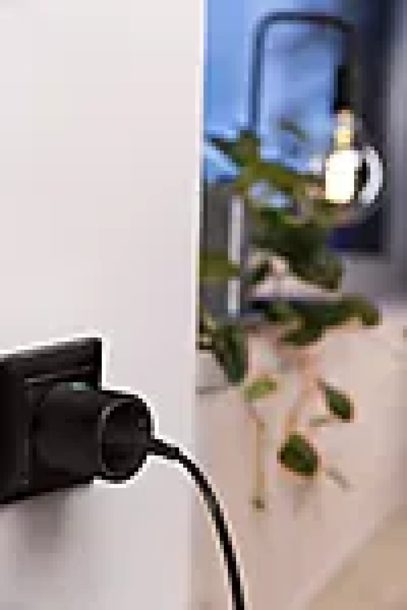 Smart Plugg wifi matter Innendørs Sort-Osram