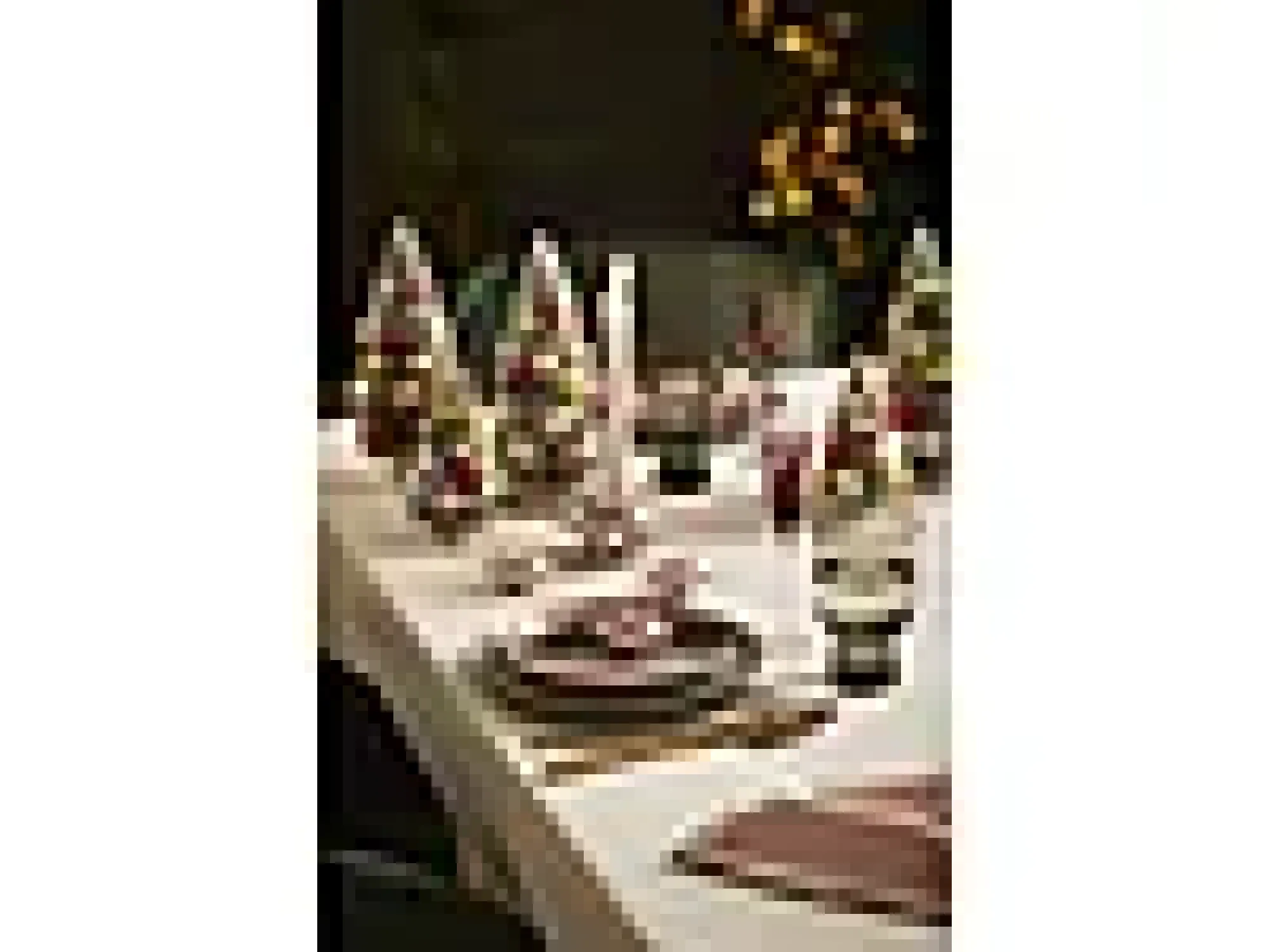 Snapseglass assortert 6stk-Lyngby glas Hot