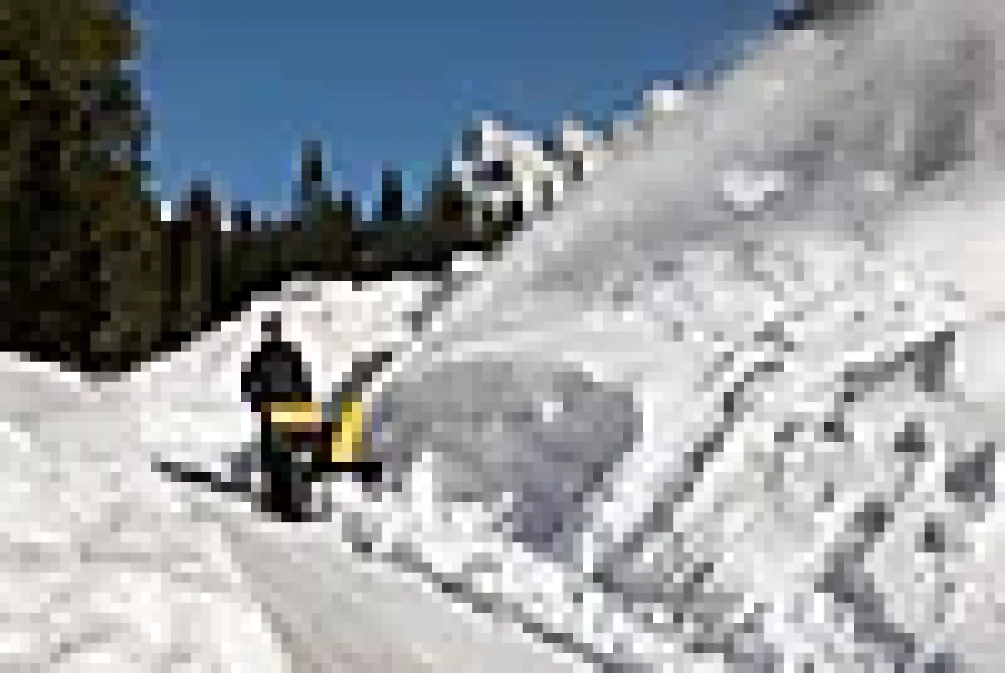 SNØFRESER ST 6272 P TRACK FORBRENNINGSMOTOR-Stiga New