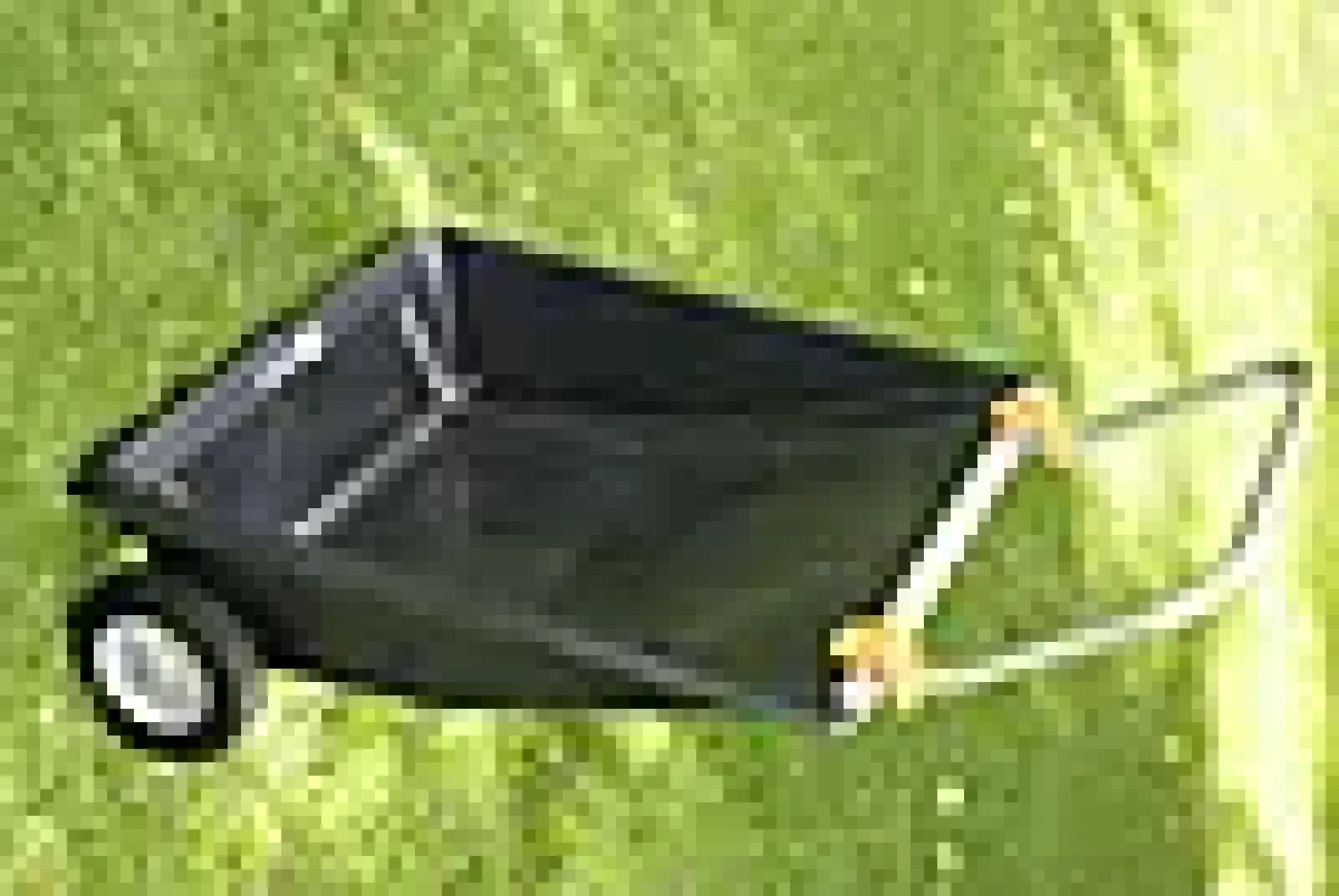 Snørydder Mover-Fiskars