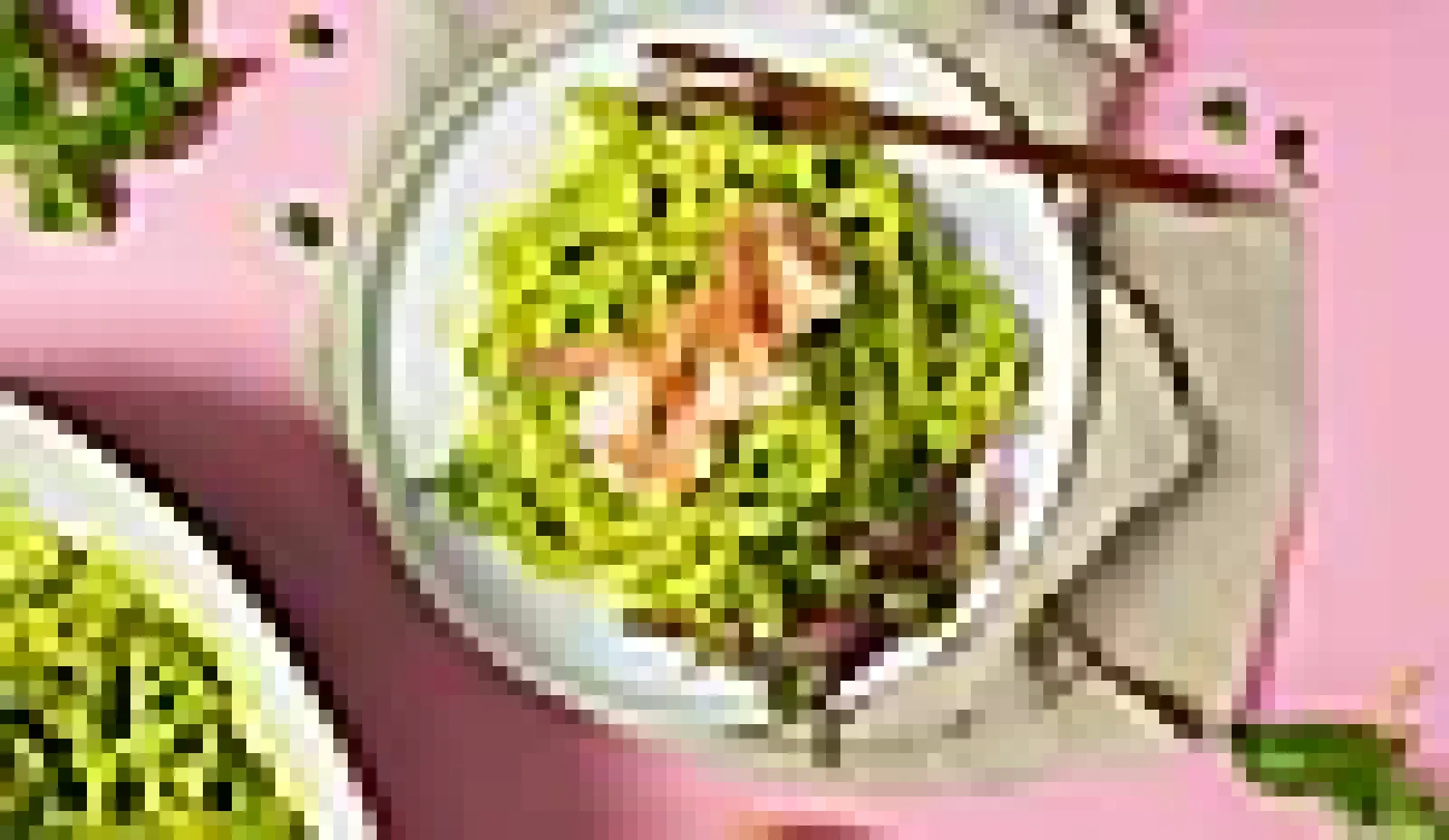 Spiralizer Håndholdt-Oxo Best