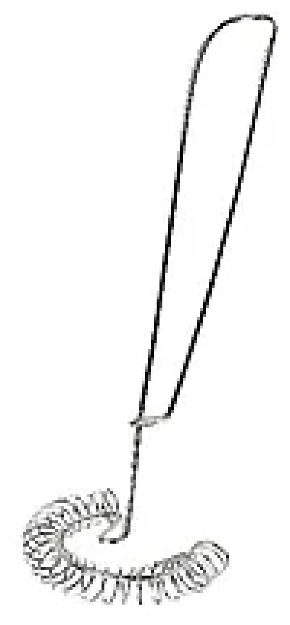 SPIRALVISP 27CM RF STÅL-Aanonsen