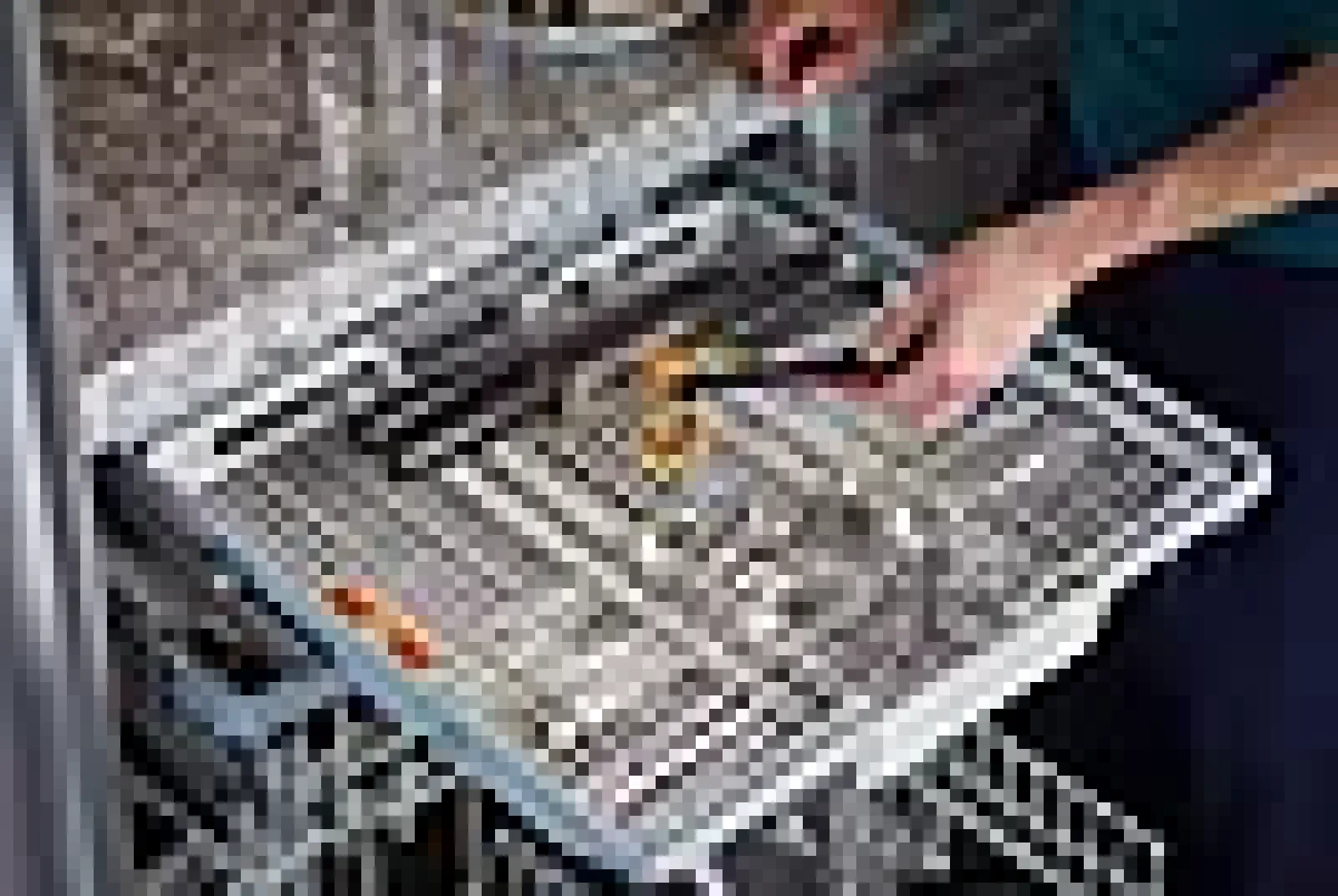 Spiralvisp Functional Form-Fiskars Best