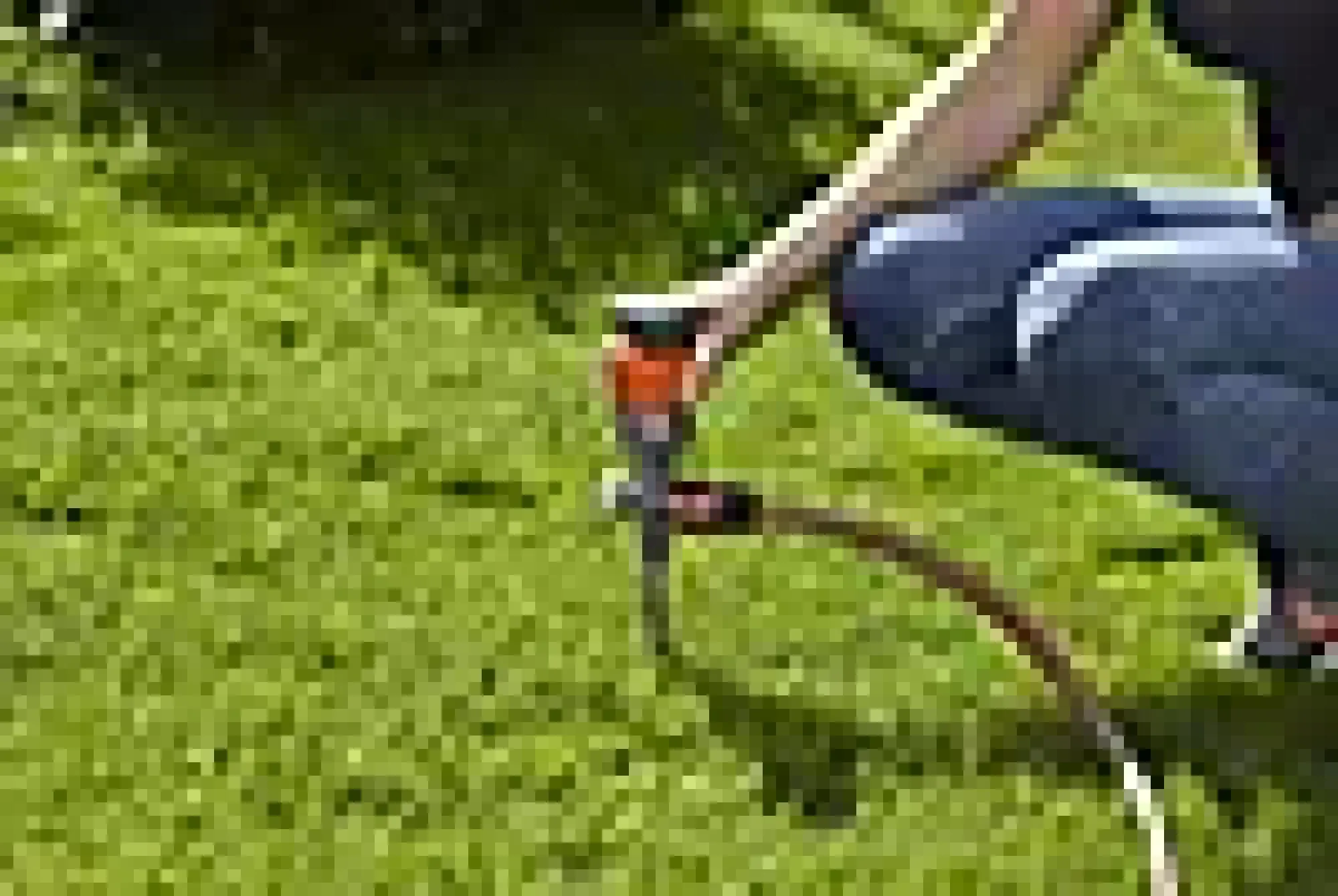 Spreder sirkel med pigg -vanningsflate 225m2-Gardena Clearance