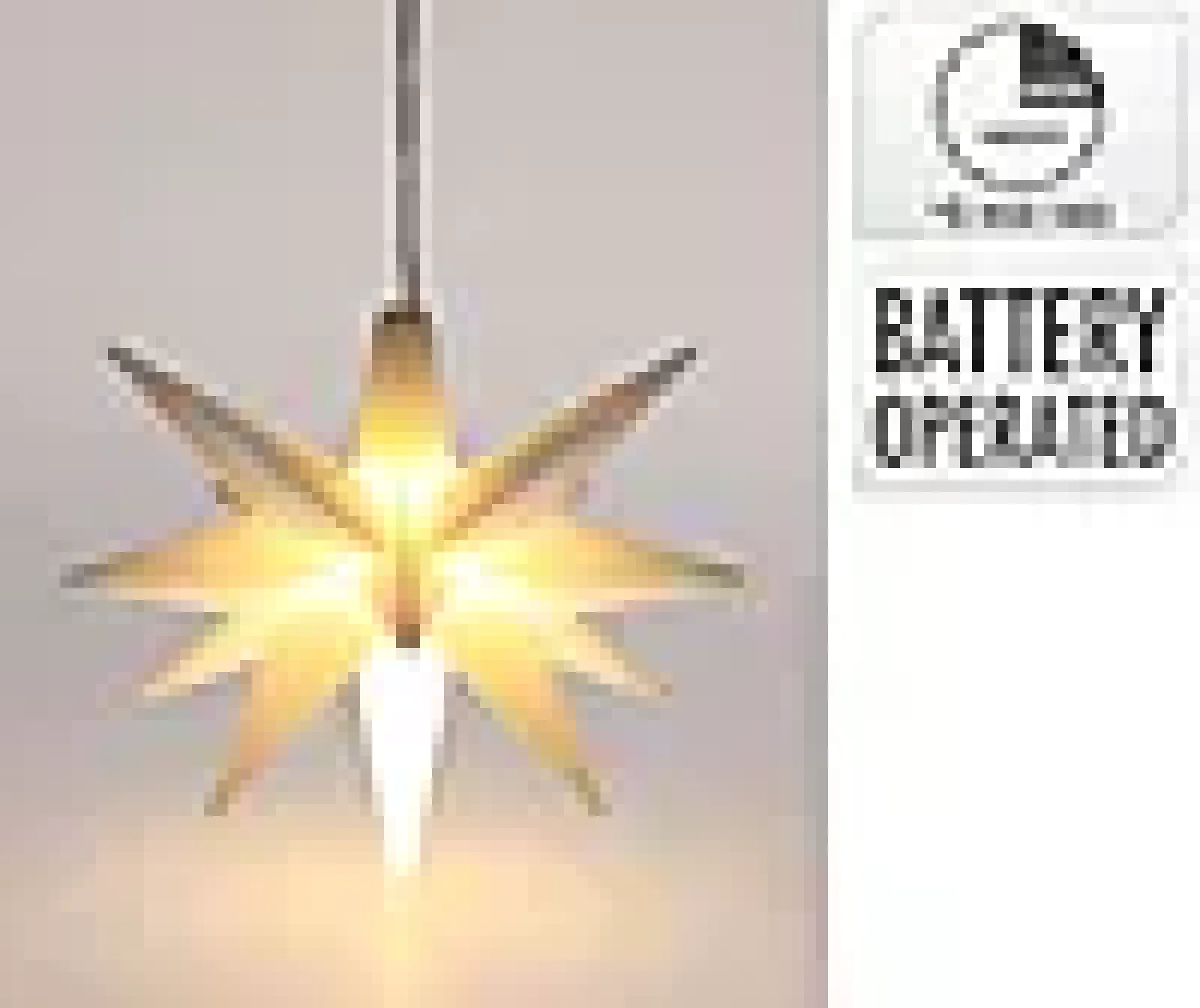 Star ledlys 120mm hvit-Ki Discount