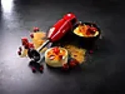 STAVMIKSER CORDLESS PLUS 10,8V RØD-Bamix Hot