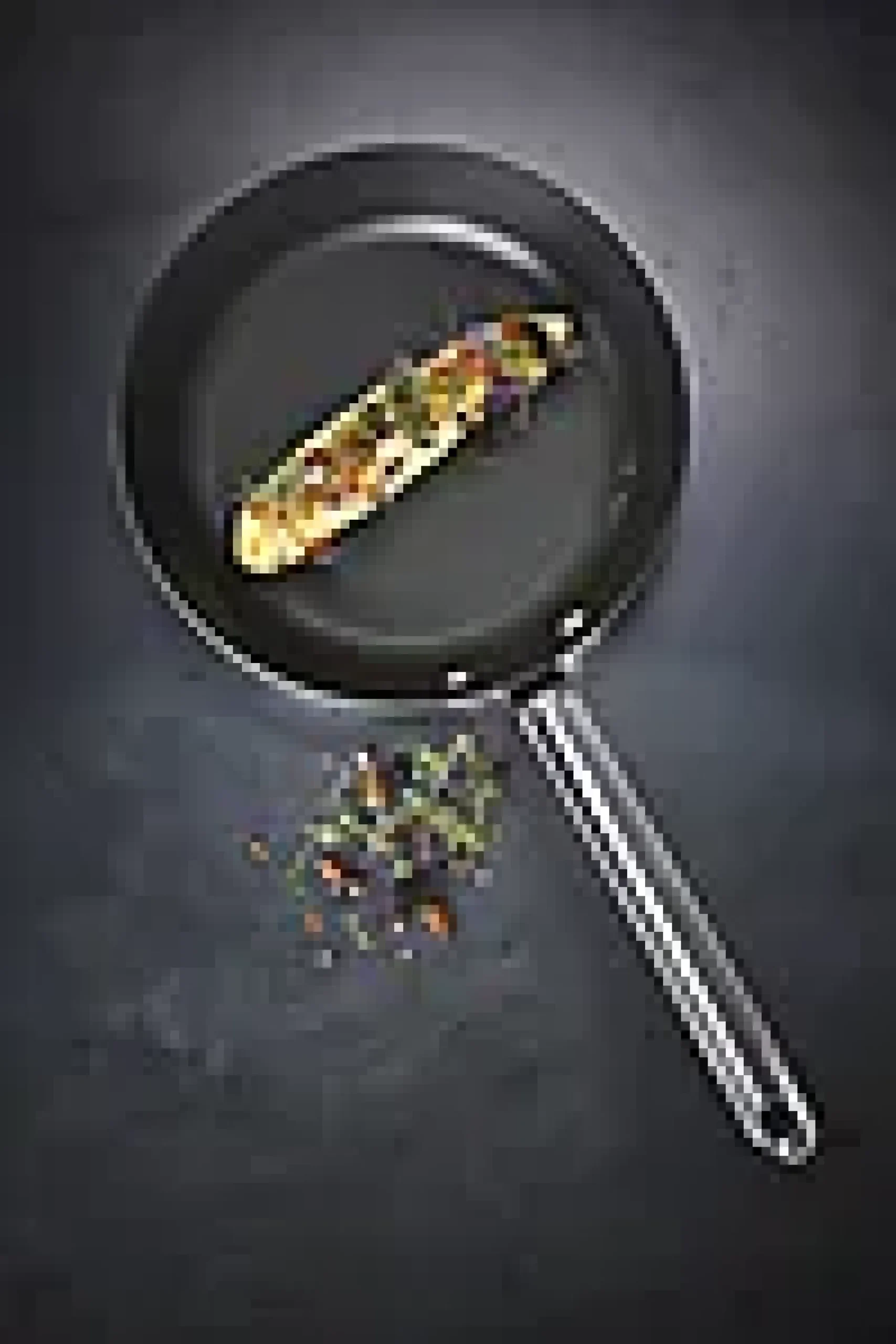 Stekepanne Black Iron 22cm-Scanpan New