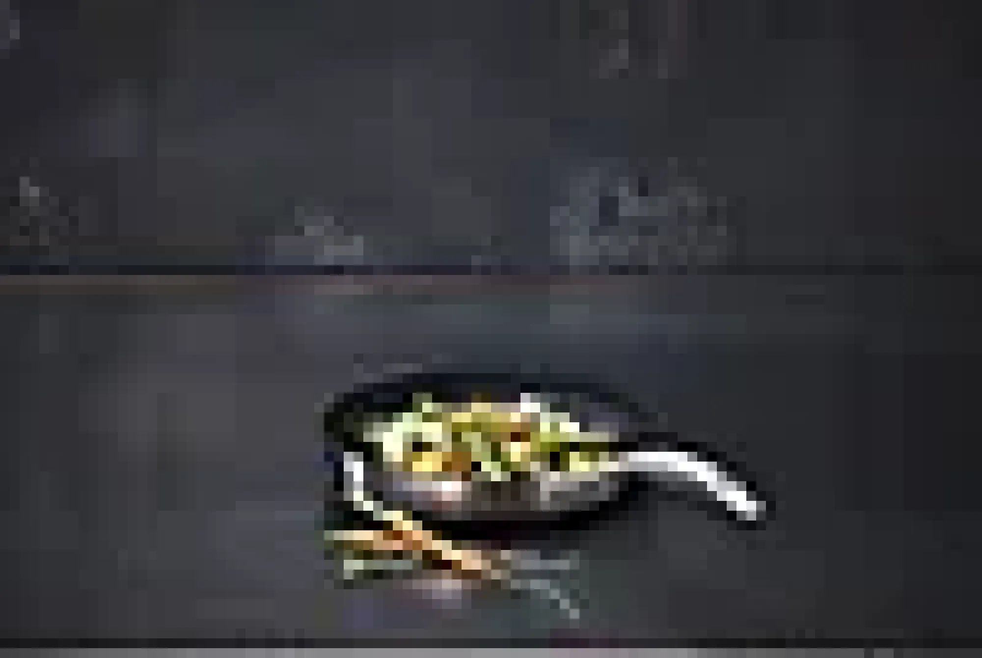 Stekepannesett CS+ 20cm og 28cm-Scanpan Sale