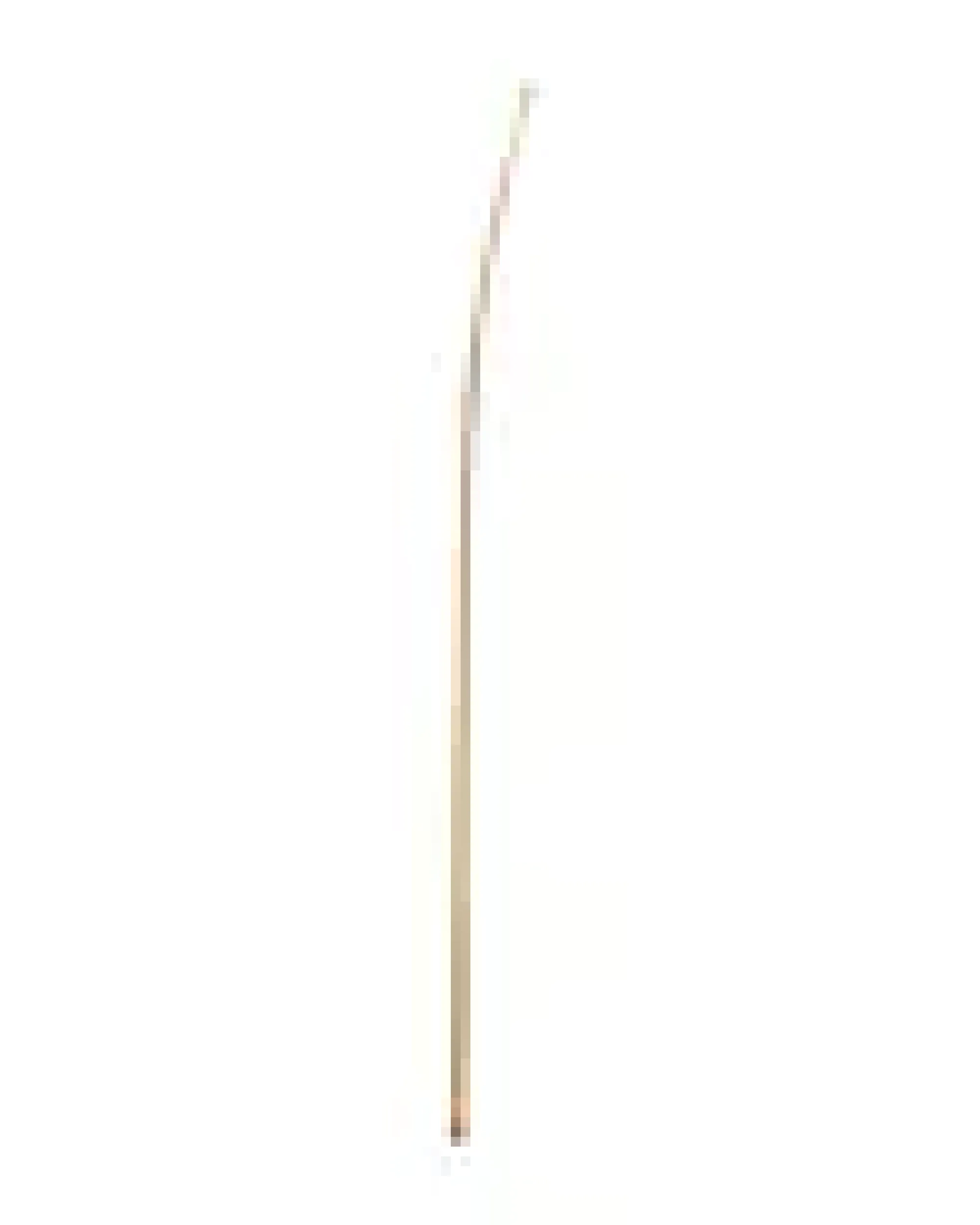 Stekespade ubehandlet bjørk 30cm-Øyo Sale