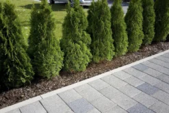 Svetteslange 15m-Gardena Sale