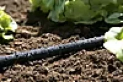 Svetteslange 15m-Gardena Sale