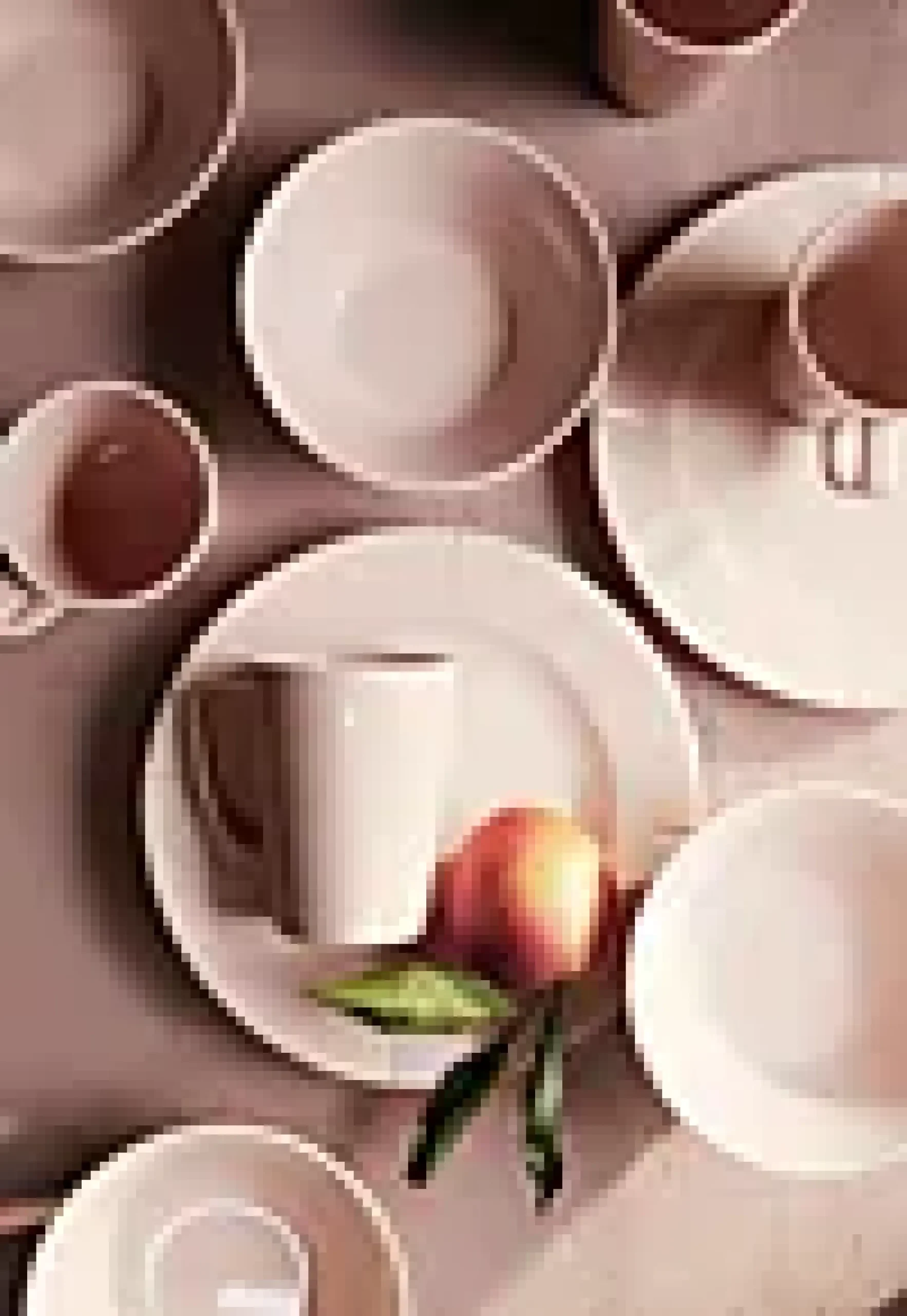 TALLERKEN Ø23CM BLUSH-Rosendahl Best