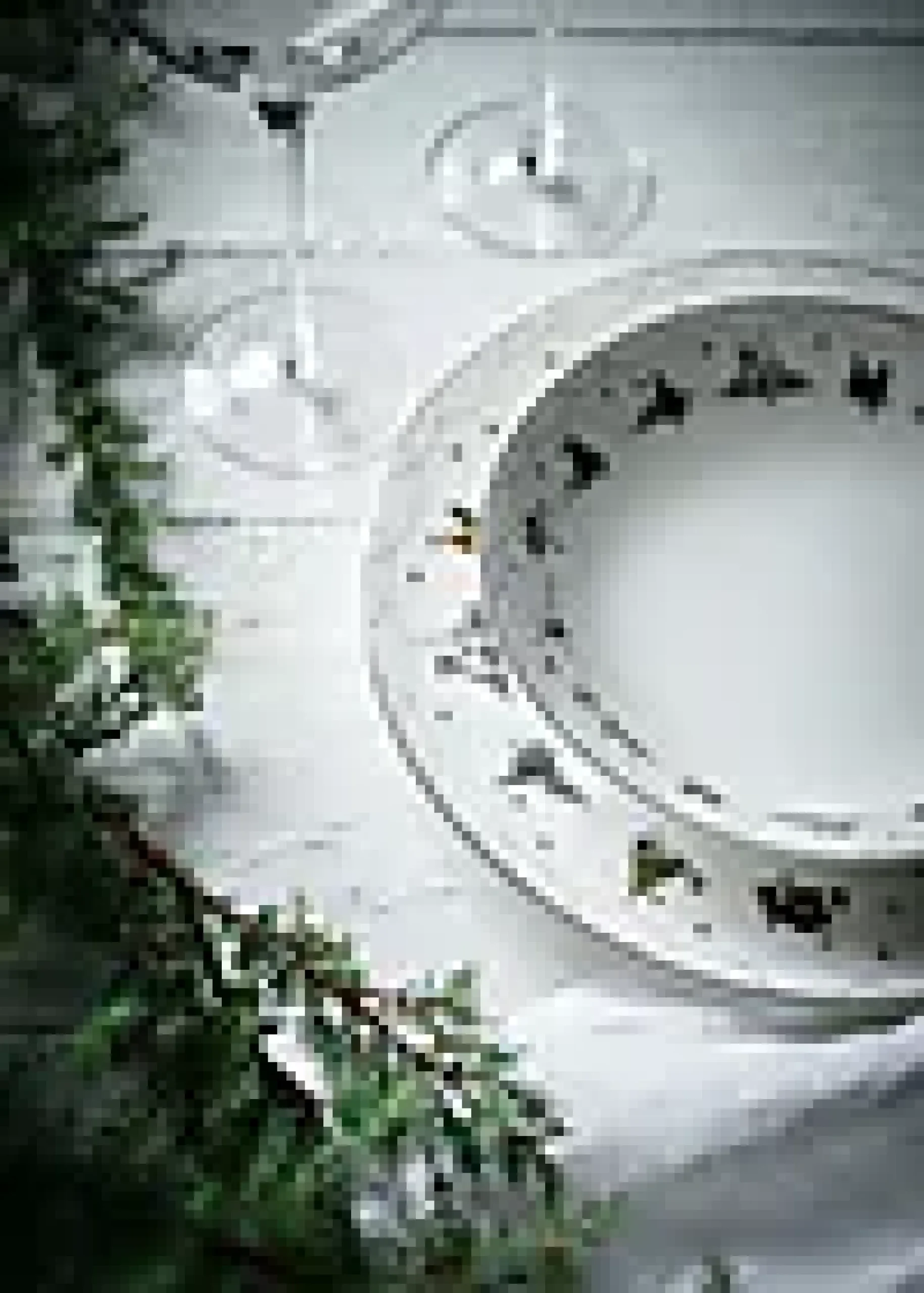 Tallerken dyp 16cm Julemorgen Story 2stk-Wik & walsøe Hot