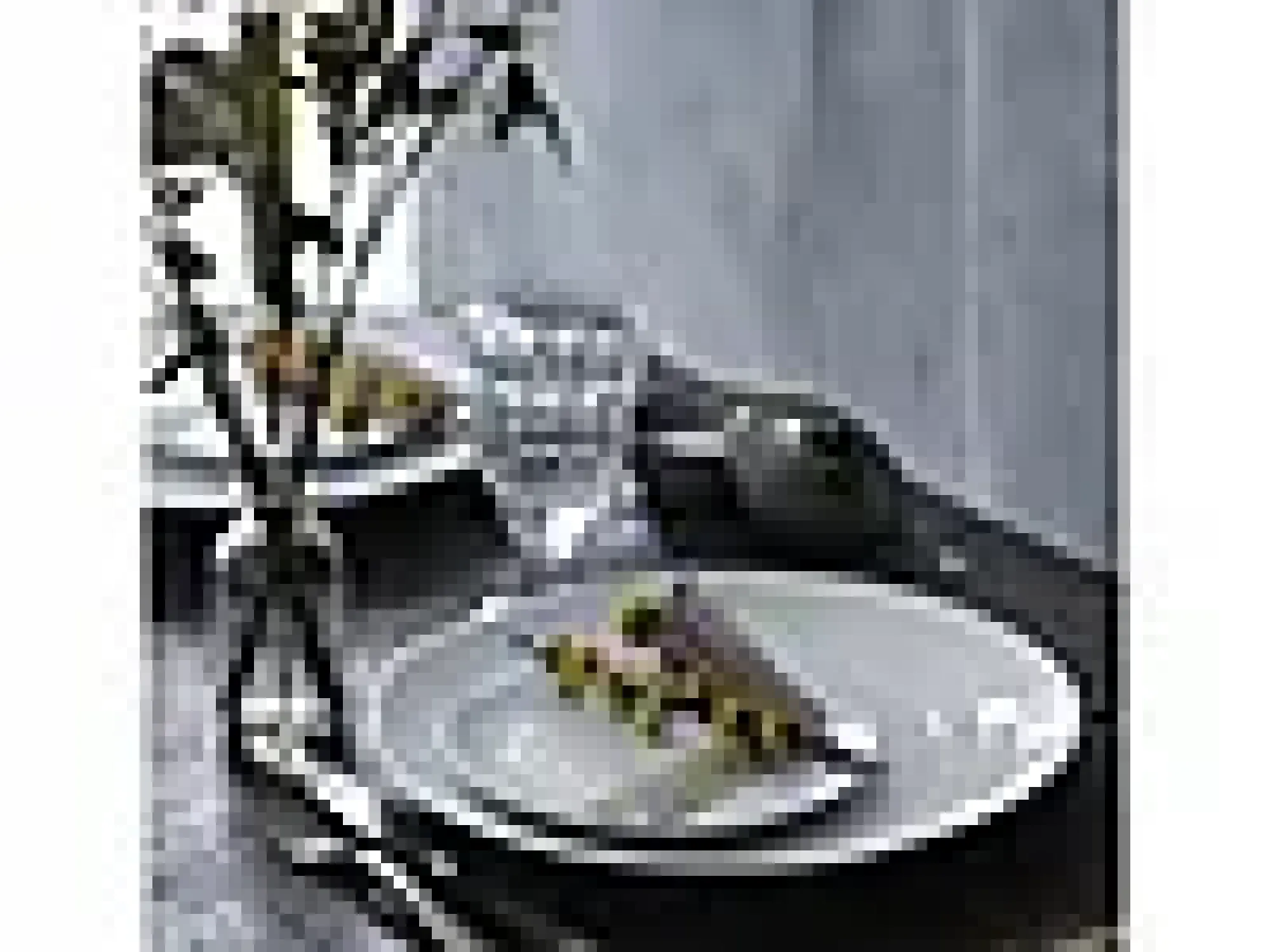 Tallerken flat Boulogne 16,5cm-Pillivuyt
