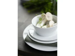 Tallerken flat med fane Eventail 22cm-Pillivuyt Outlet