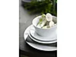 Tallerken flat med fane Eventail 22cm-Pillivuyt Outlet