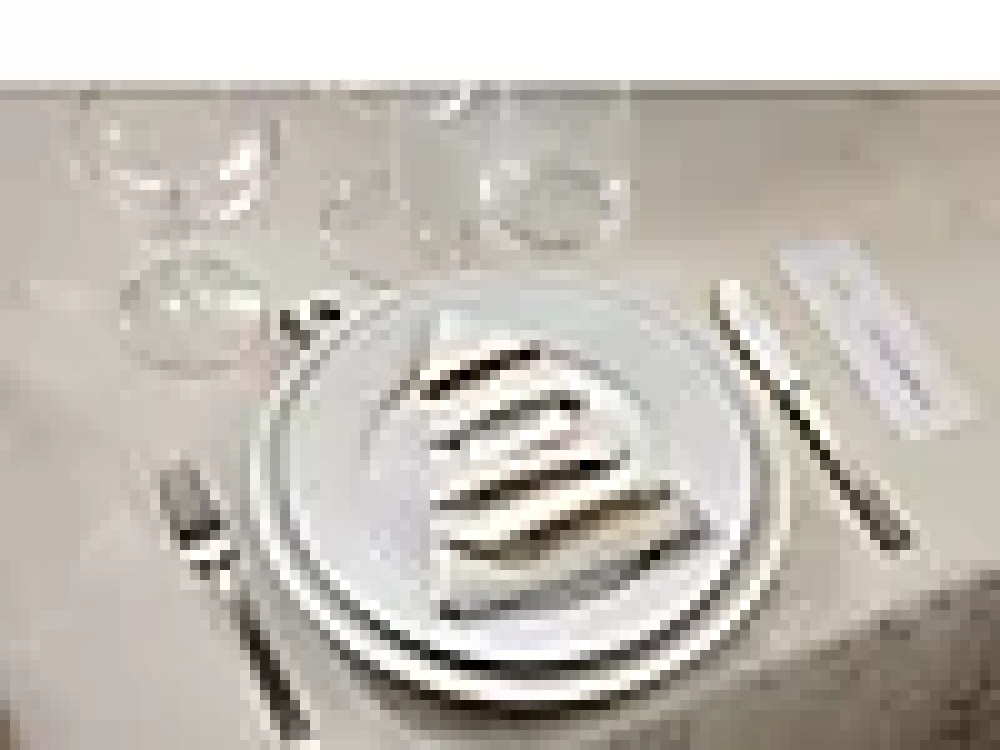 Tallerken flat Plissé 24cm-Pillivuyt