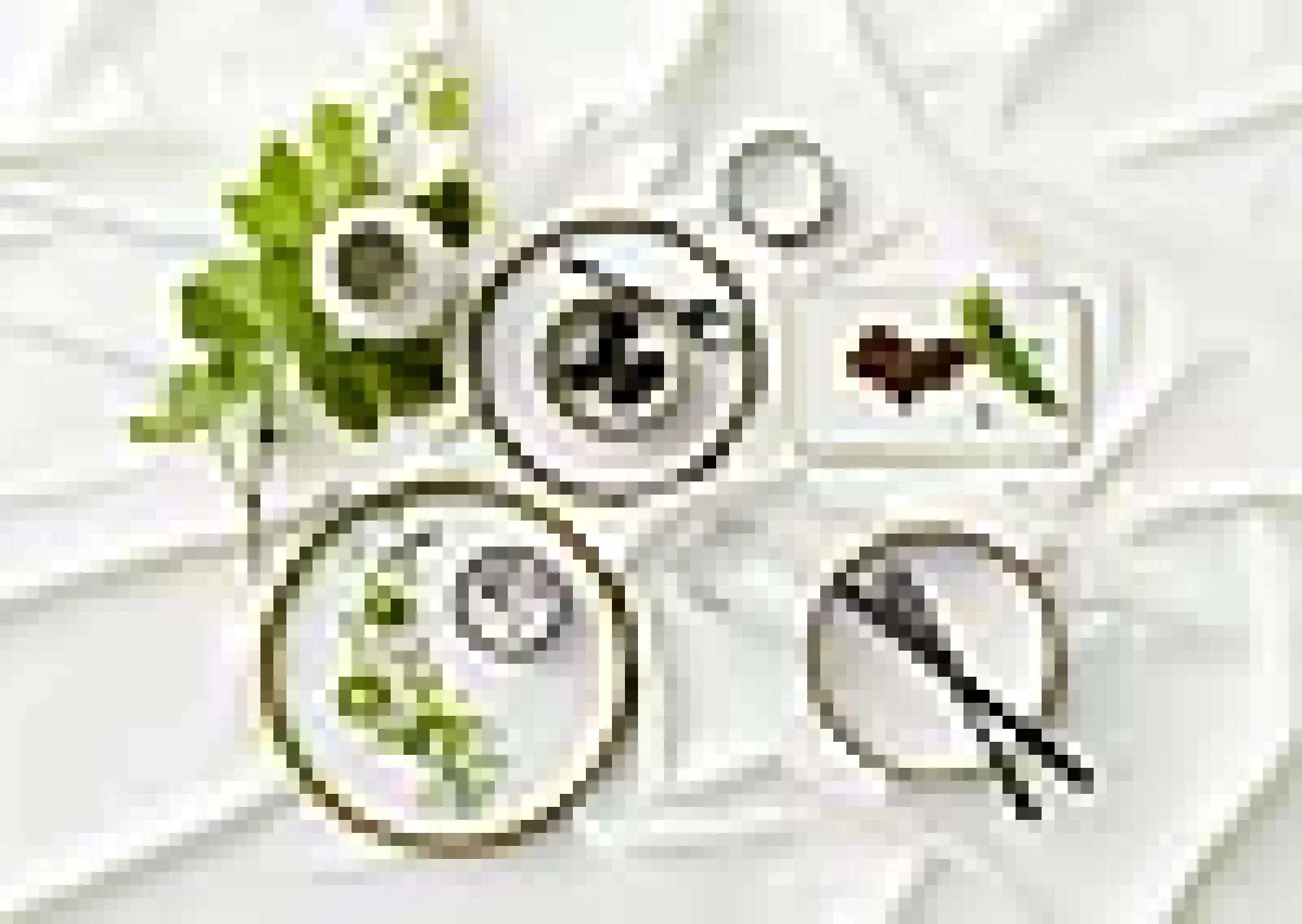 Tallerken Gastro 21cm-Bitz Clearance