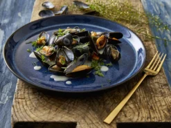 Tallerken Gastro 21cm-Bitz Online
