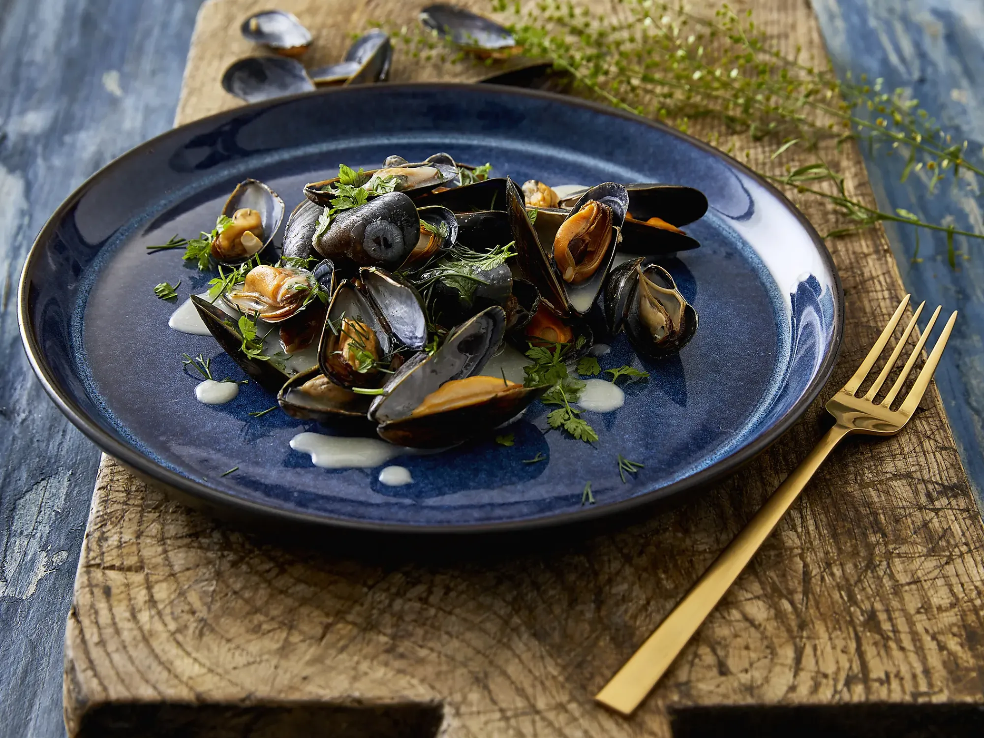 Tallerken Gastro 21cm-Bitz Online