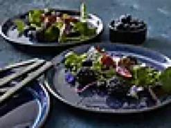 Tallerken Gastro 21cm-Bitz Online