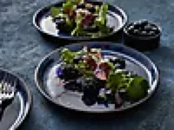 Tallerken Gastro 21cm-Bitz Online