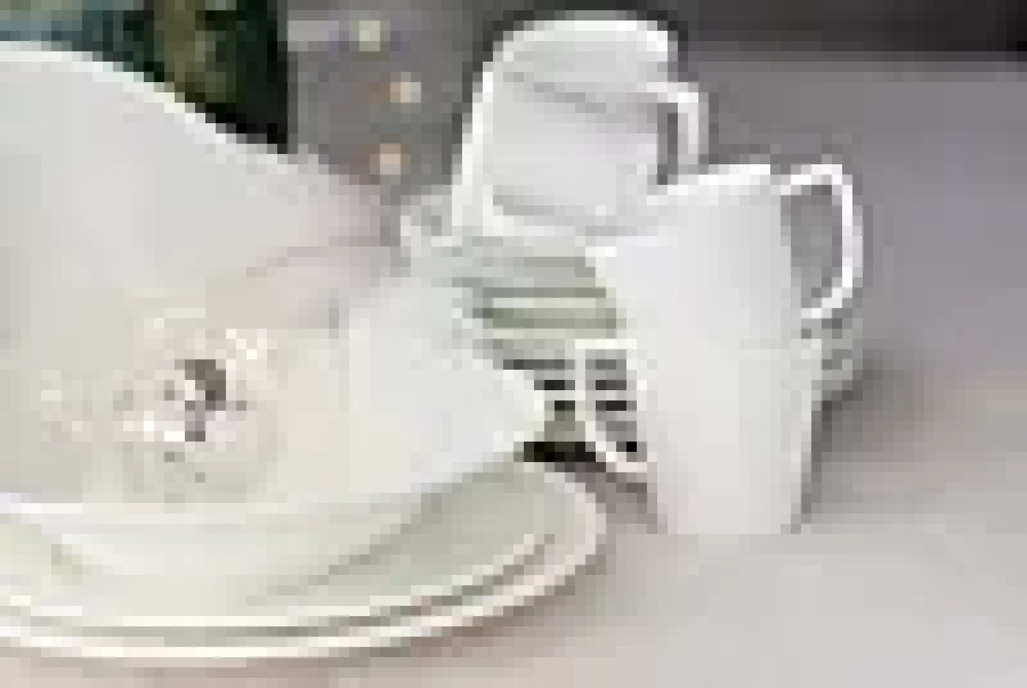 Tallerken Grand Cru 23cm 4stk-Rosendahl Outlet