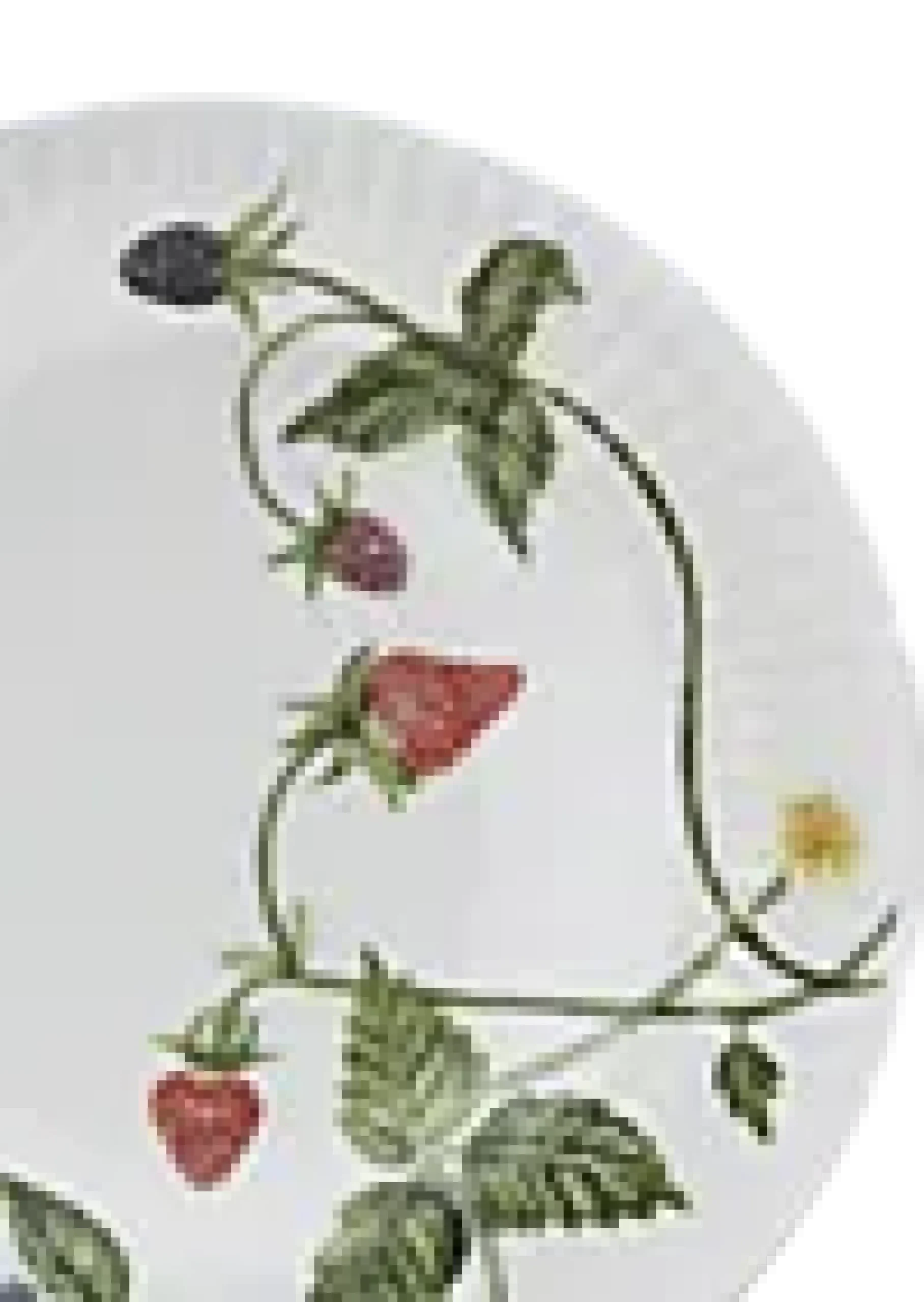 Tallerken Hammershøi Summer Ø22cm Summer Berries-Kähler Discount