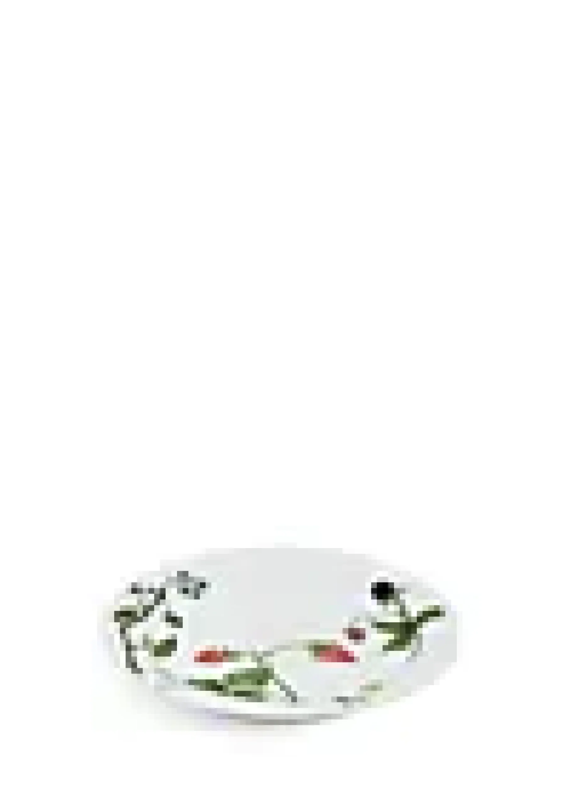 Tallerken Hammershøi Summer Ø22cm Summer Berries-Kähler Discount