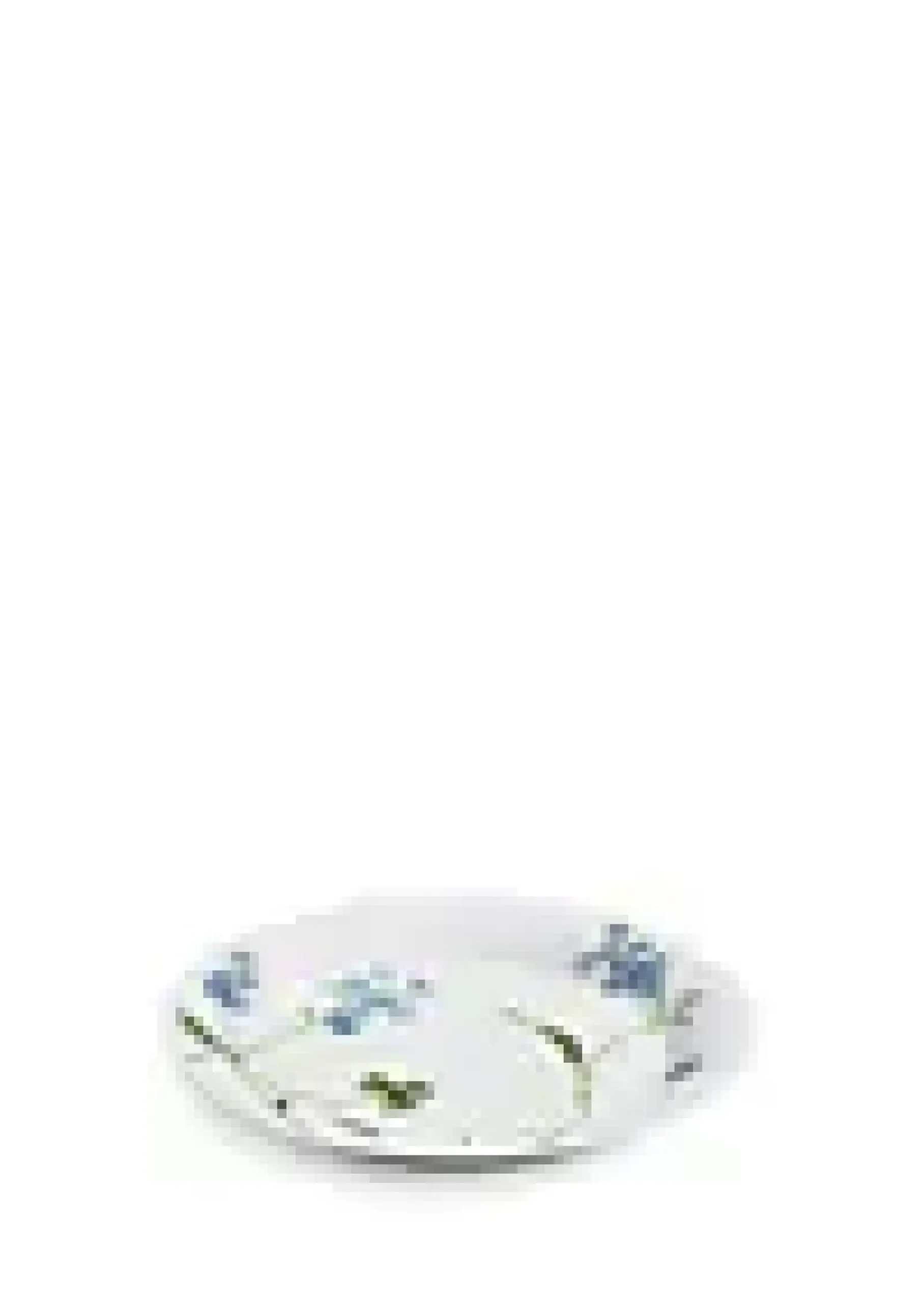 Tallerken Hammershøi Summer Ø22cm Forget me not-Kähler