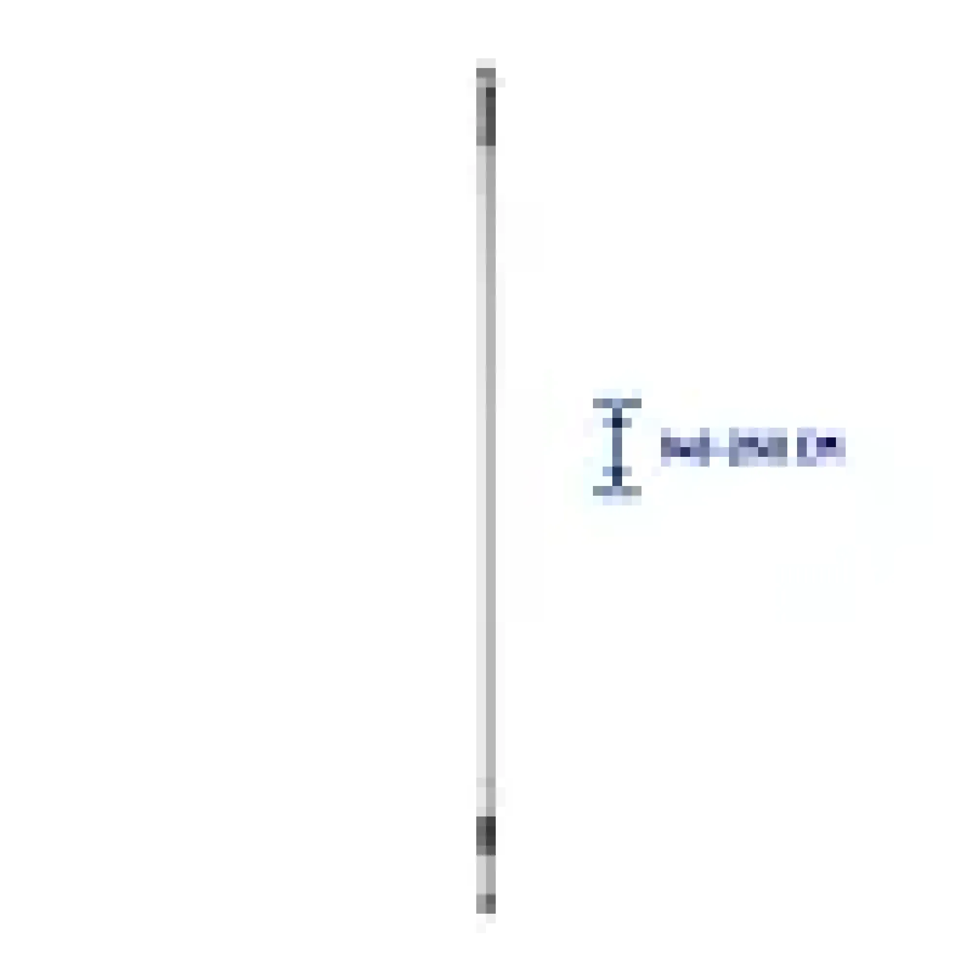 Teleskopskaft 250cm-Sini Online