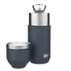 Termoflaske Luma 0,7L-Ion8 Online