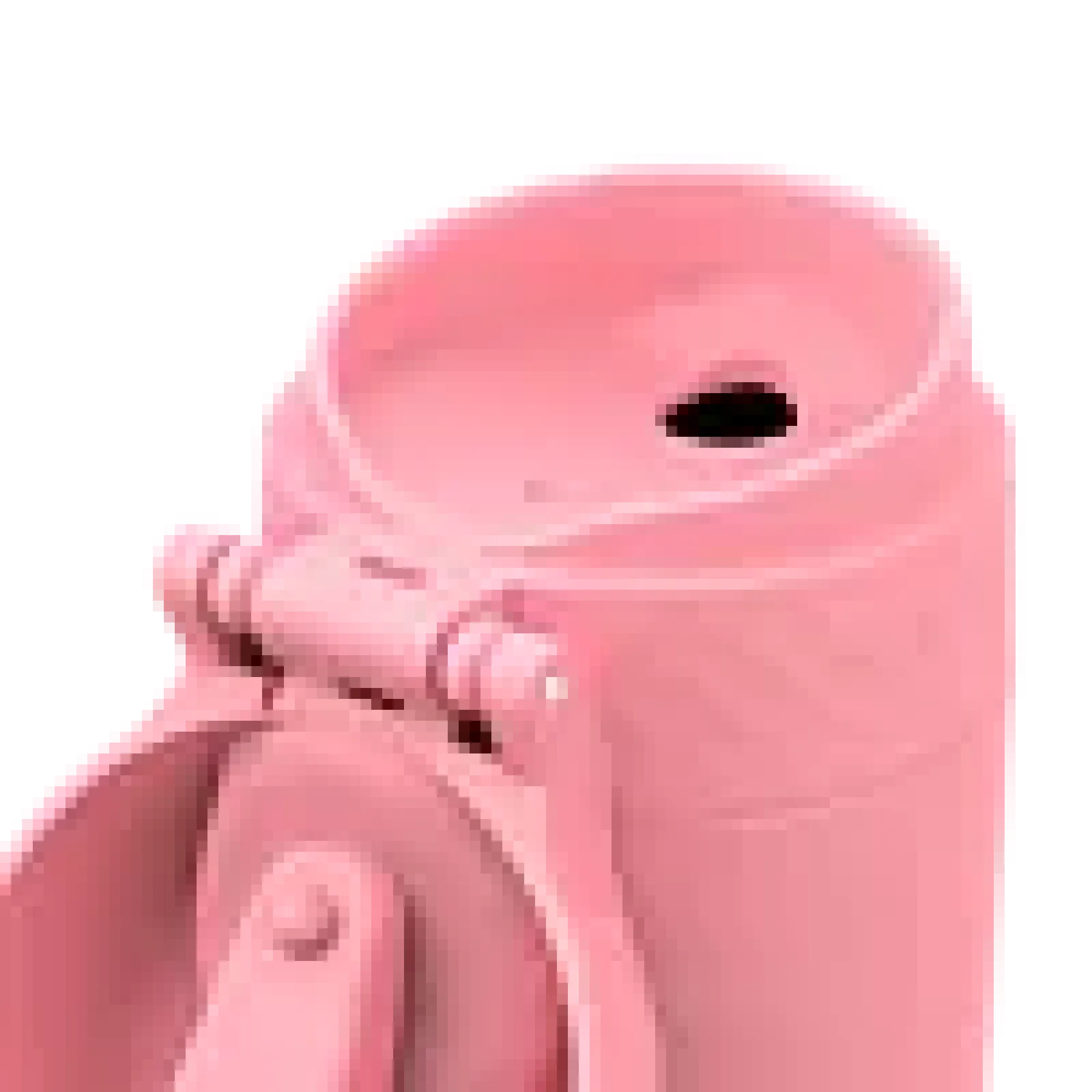 Termokopp 36CL Rose Bloom-Ion8 Discount