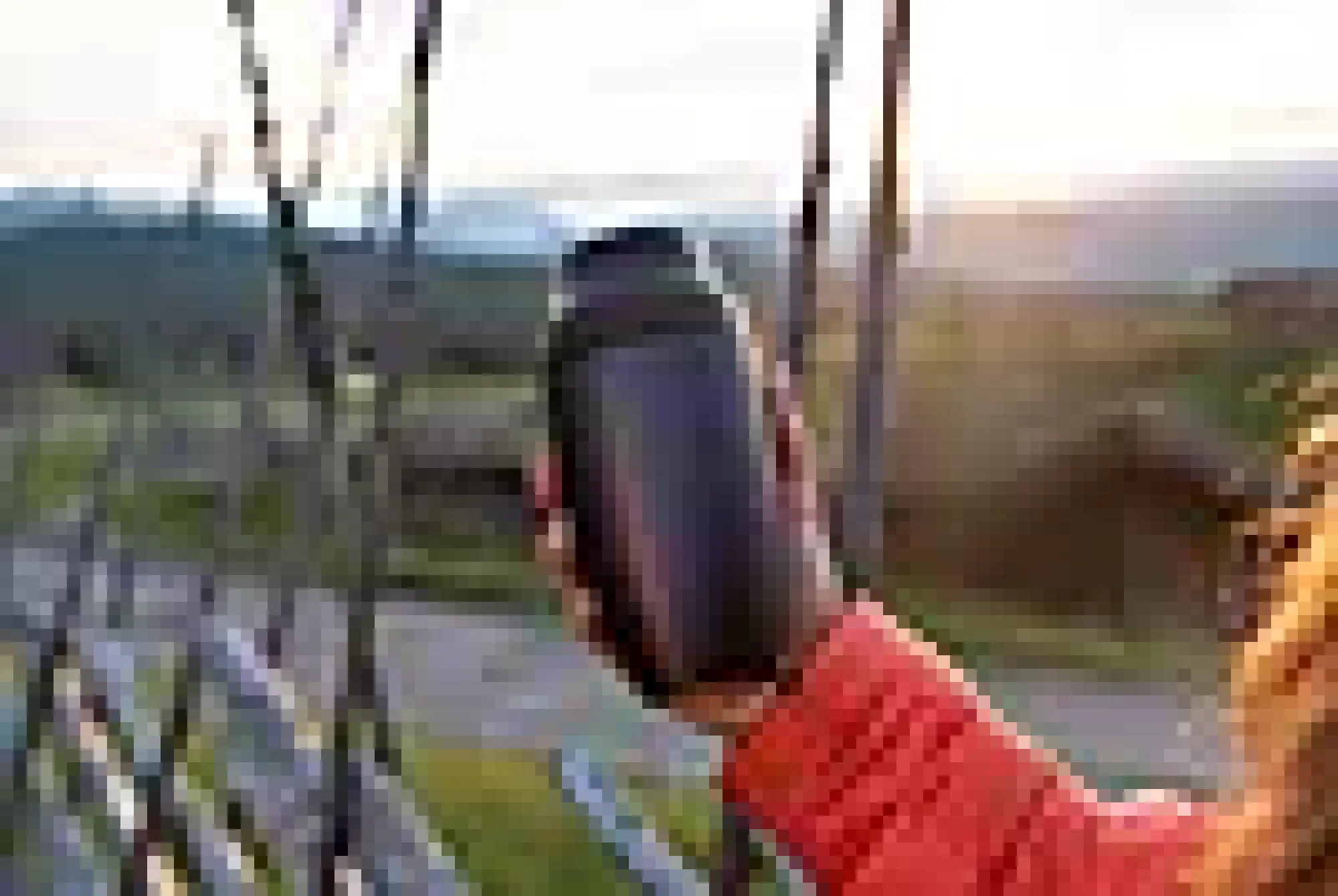 Termokrus 0,35L Stål-Invite