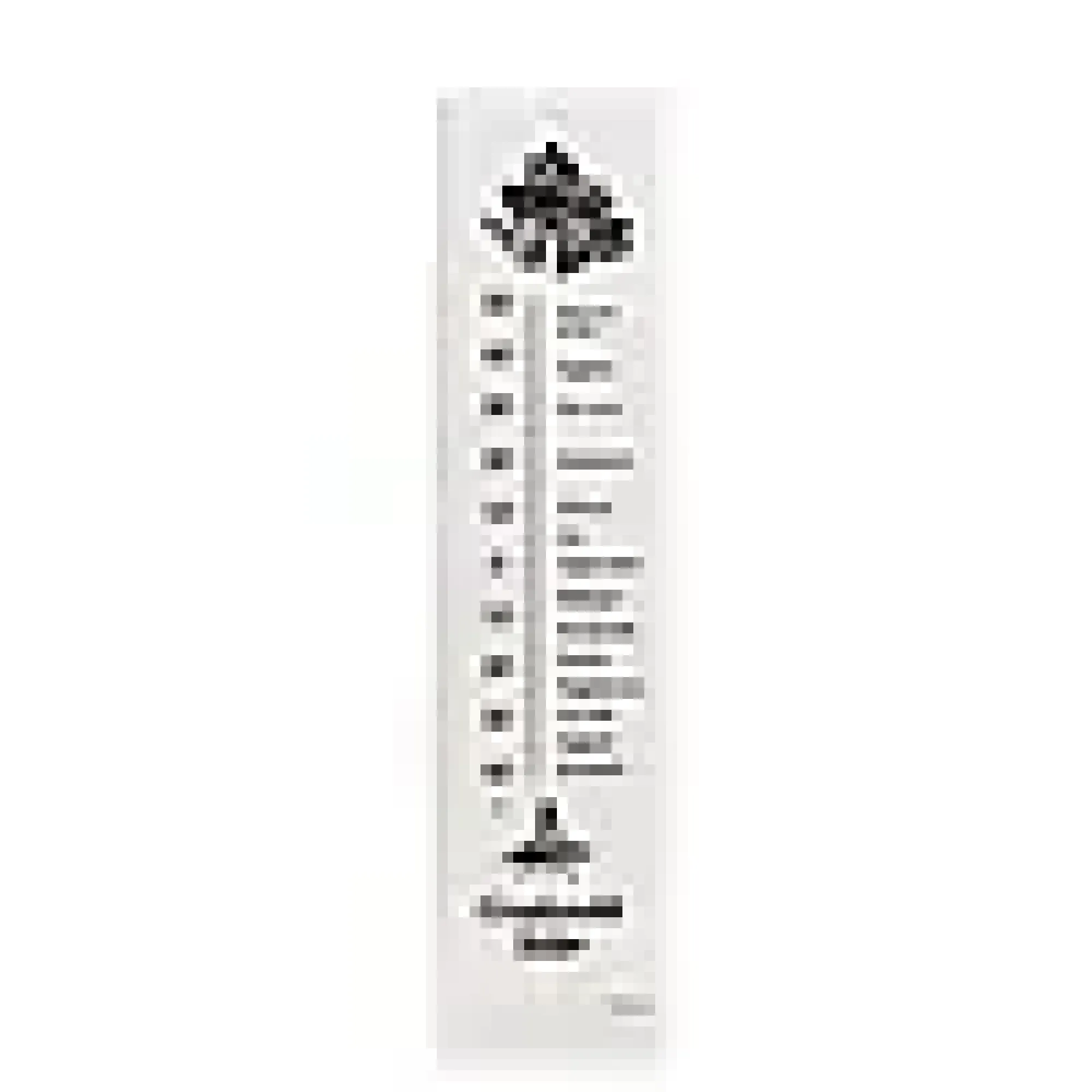 Termometer Dialekttempen 34X9cm- Clearance