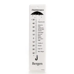 Termometer Dialekttempen 34X9cm- Clearance