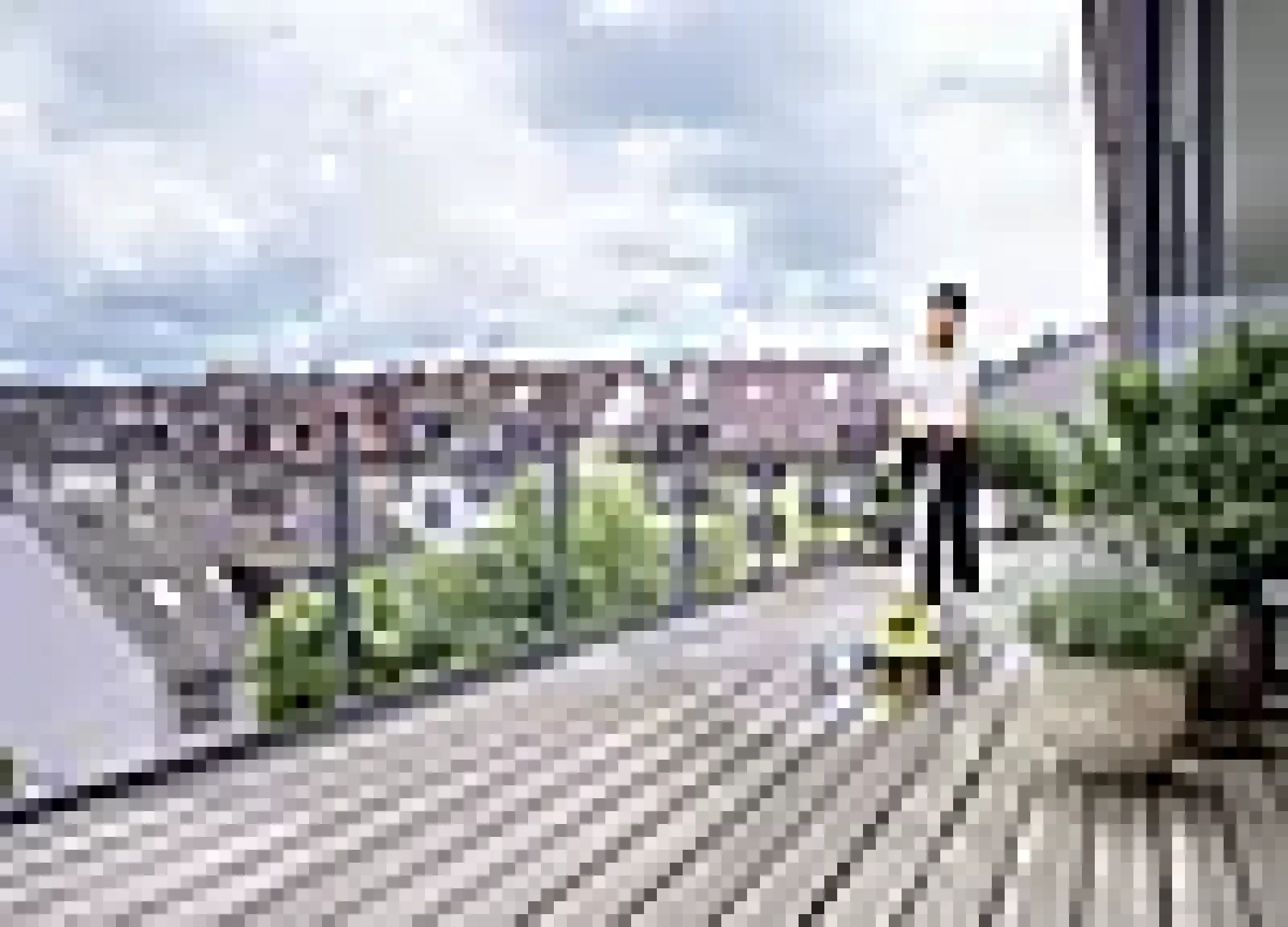 Terrassebørste elektrisk PCL 4-Kärcher Sale