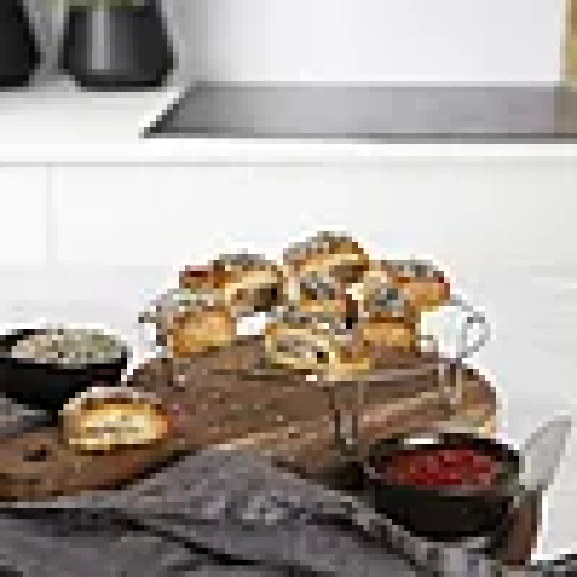 TILBEHØRSETT AIRFRYER 10DELER-Princess New