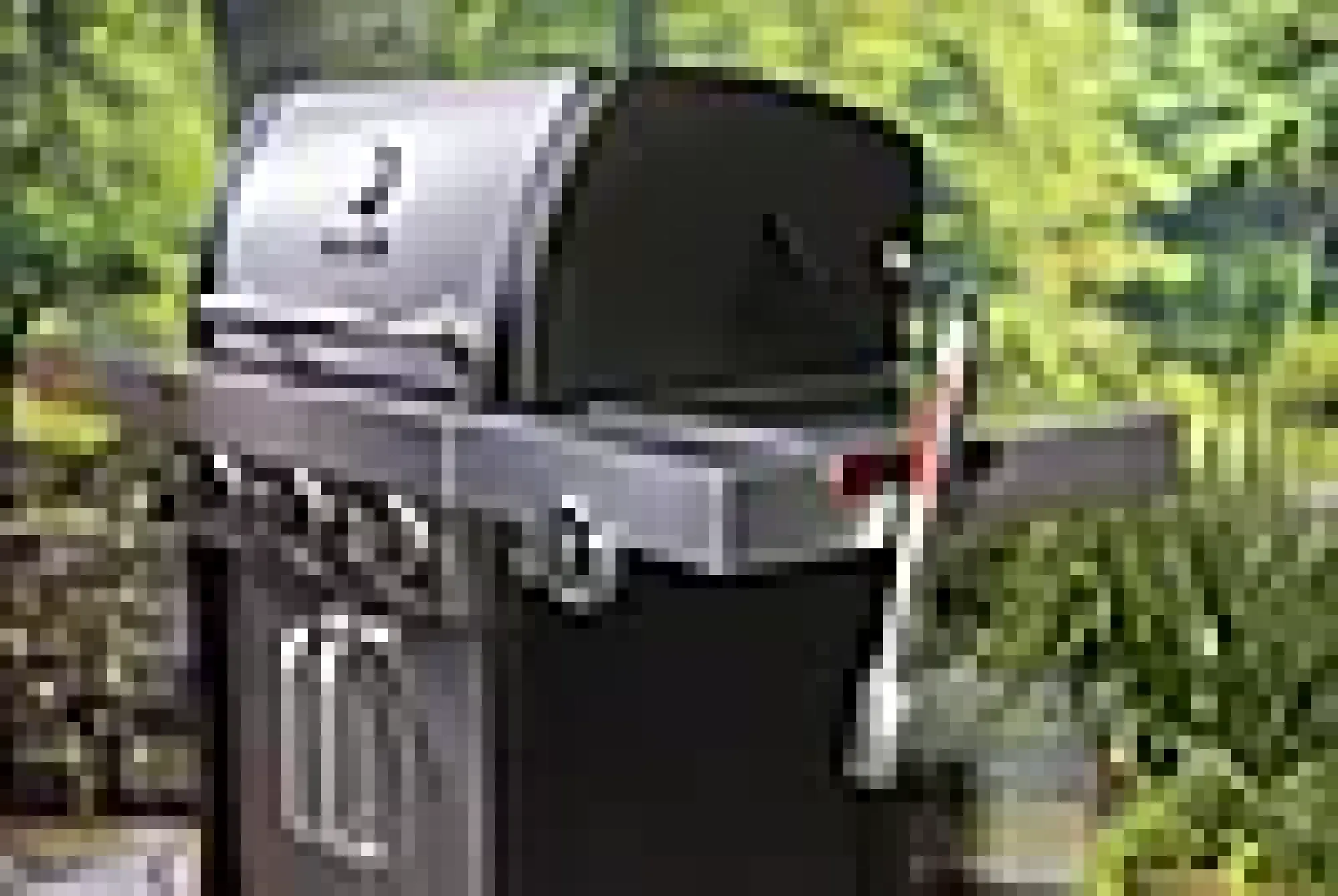 TILBEHØRSHOLDER MAGNETISK-Char Broil Discount
