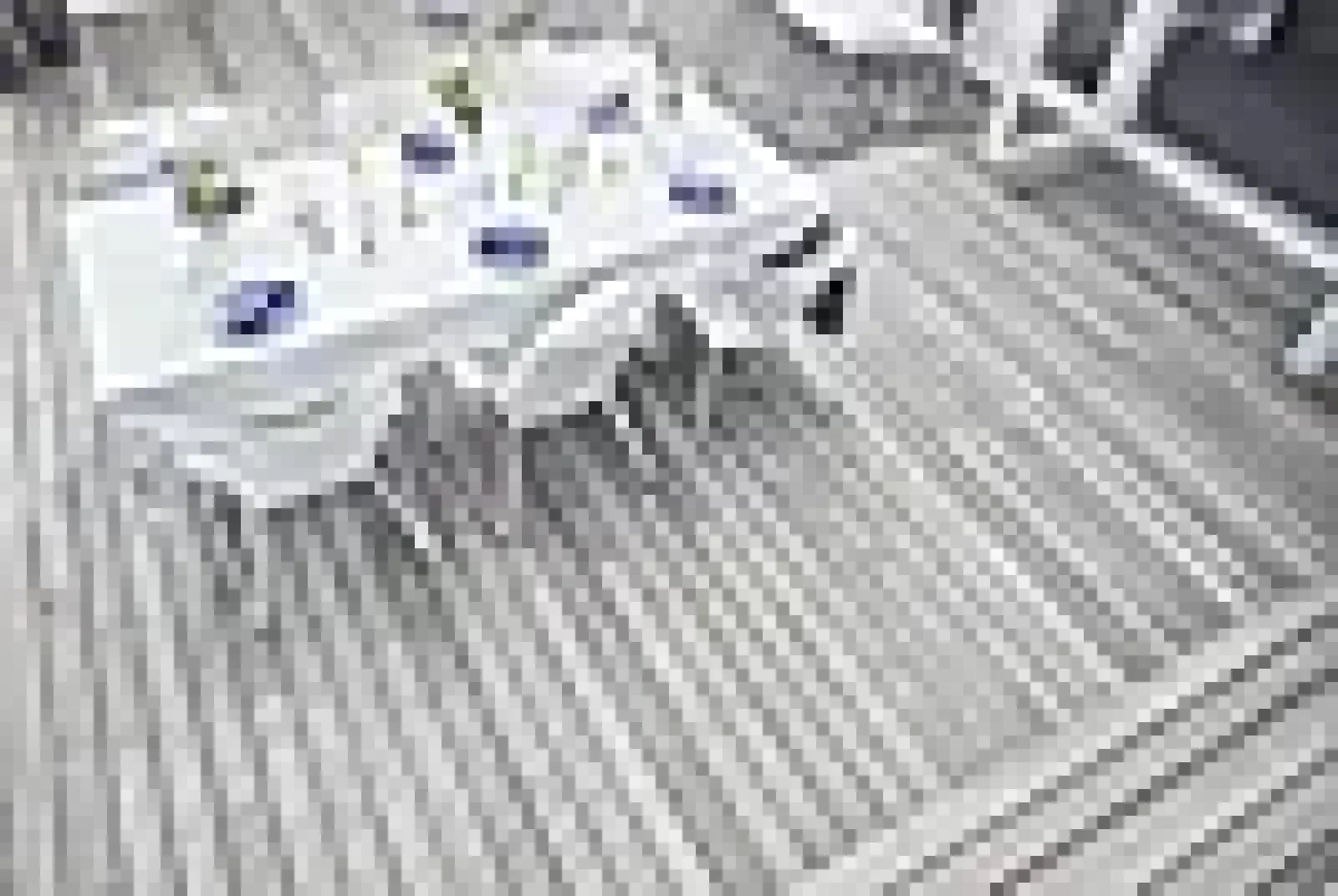 Trebeskyttelse terrasse premium 5l-Sioox