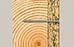 Treskrue Senkhode 6,0x120mm C5 Utendørs-Fischer Online