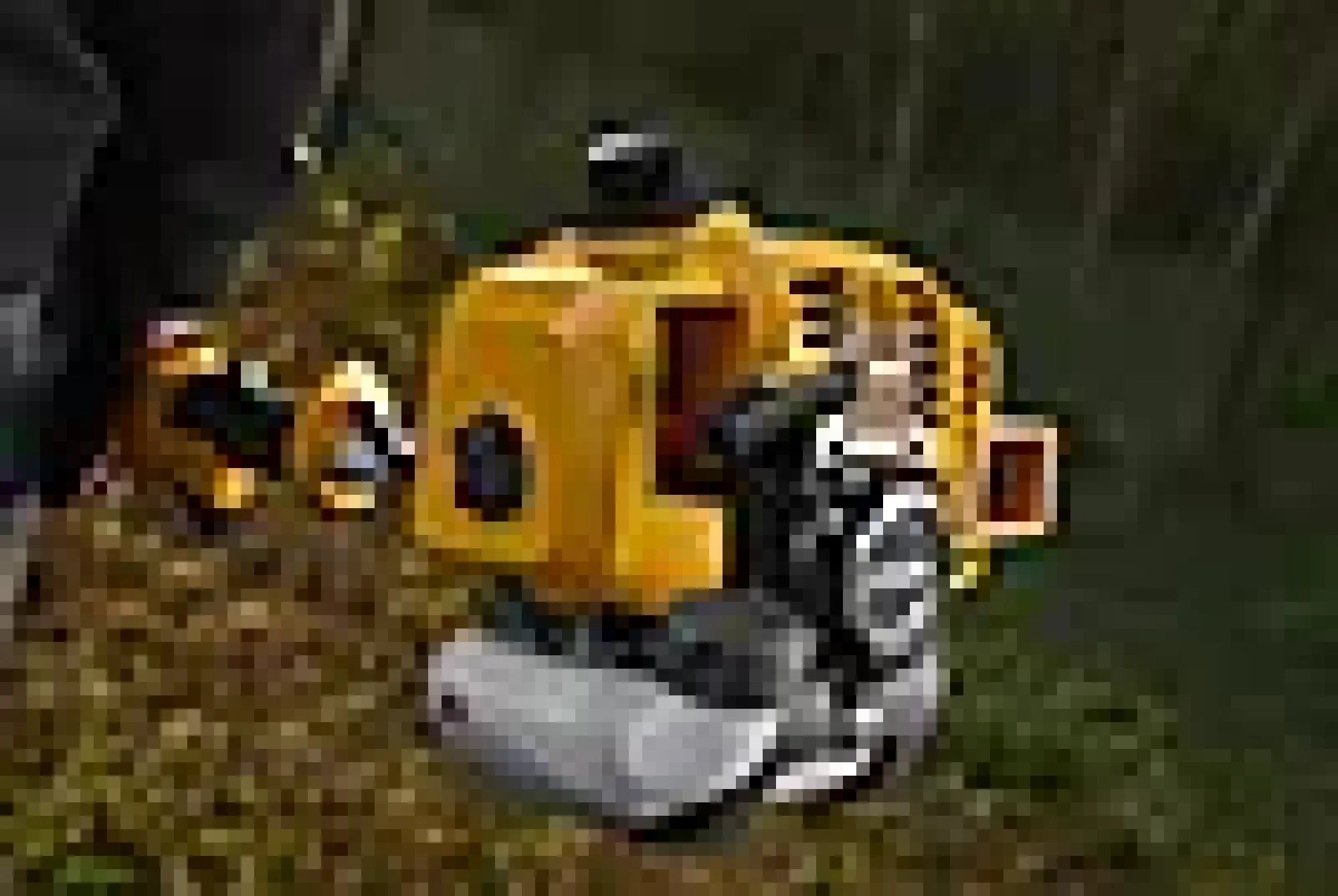 Trimmer / Ryddesag Bc 330 A 2-taktsmotor Skjærebredde 43Cm-Stiga Sale