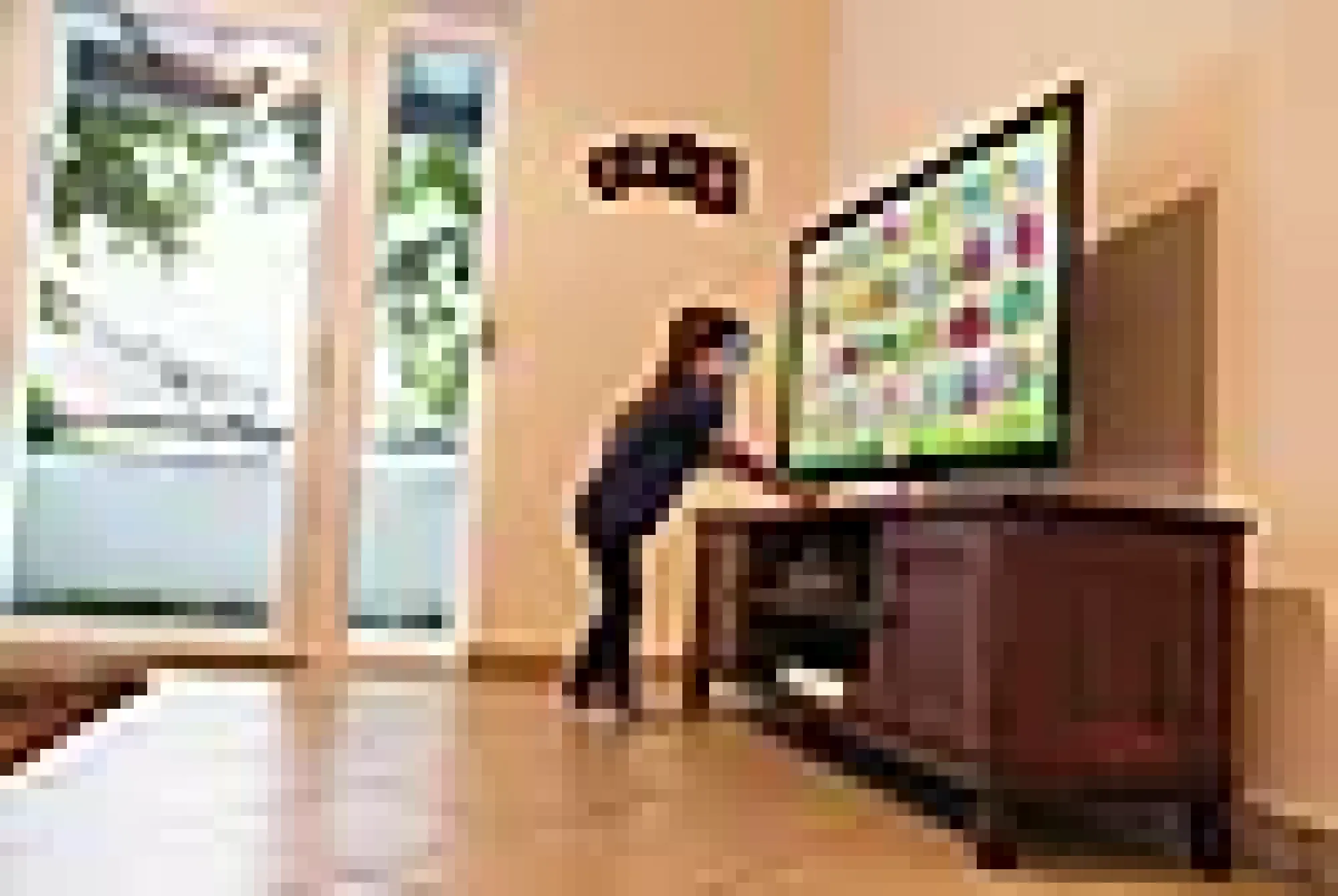 TV-sikring Isa 2stk-Abus Hot