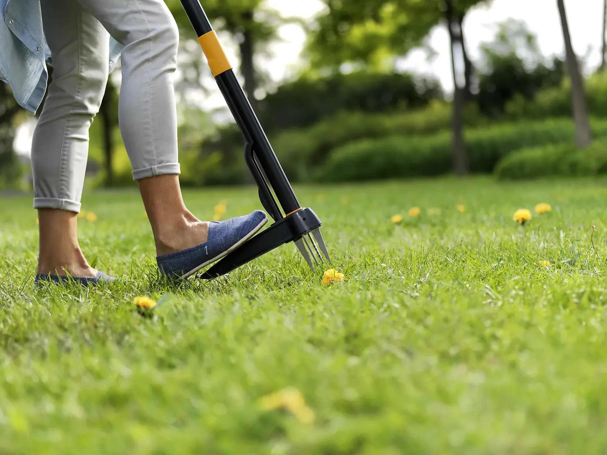 Ugressfjerner Xact Weeder-Fiskars