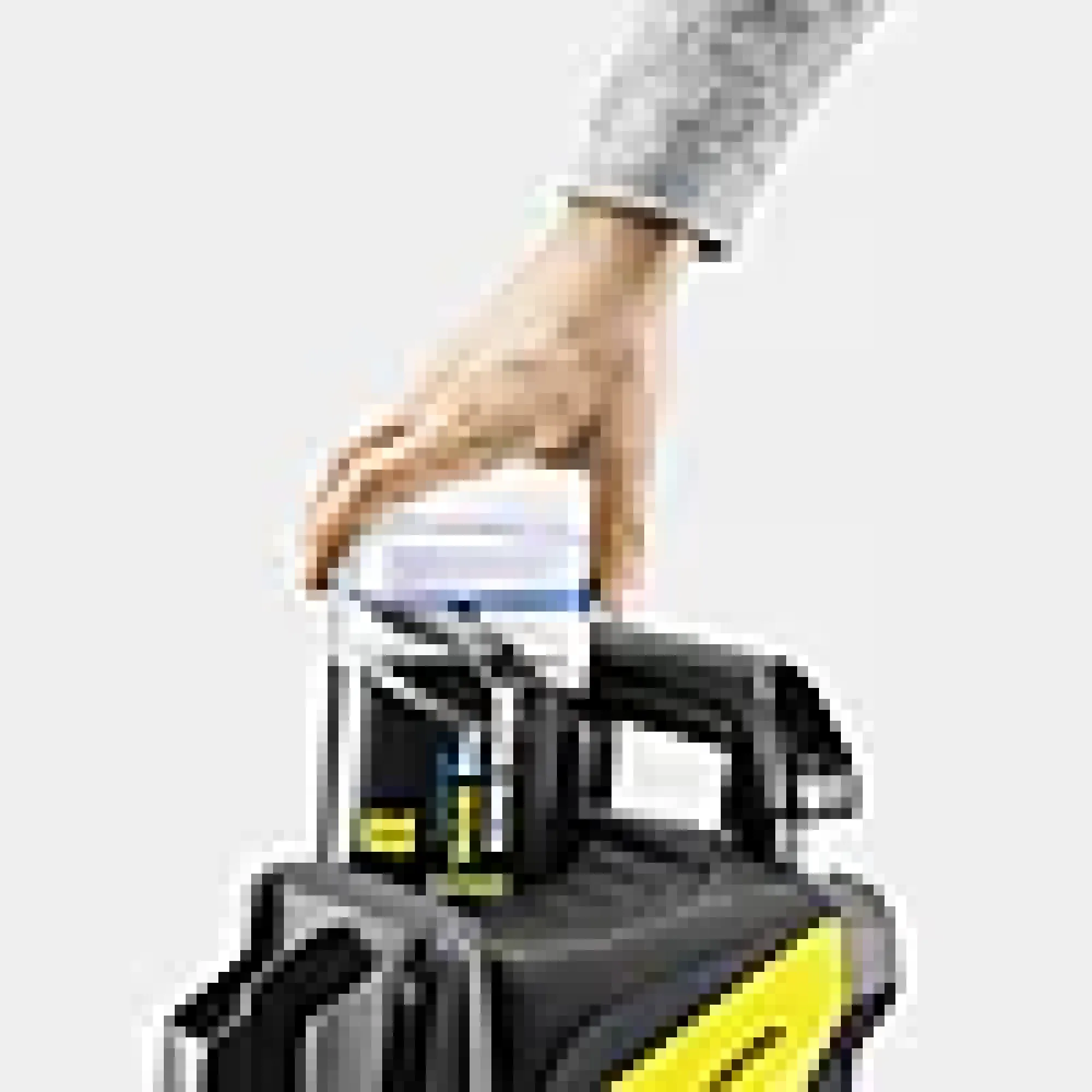 Ultrafoam 3in1 1l-Kärcher Discount