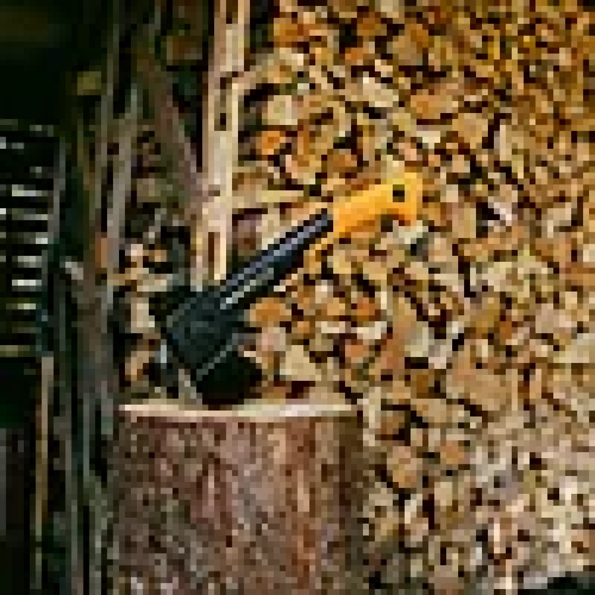 Universaløks XS X14 X-series-Fiskars Best