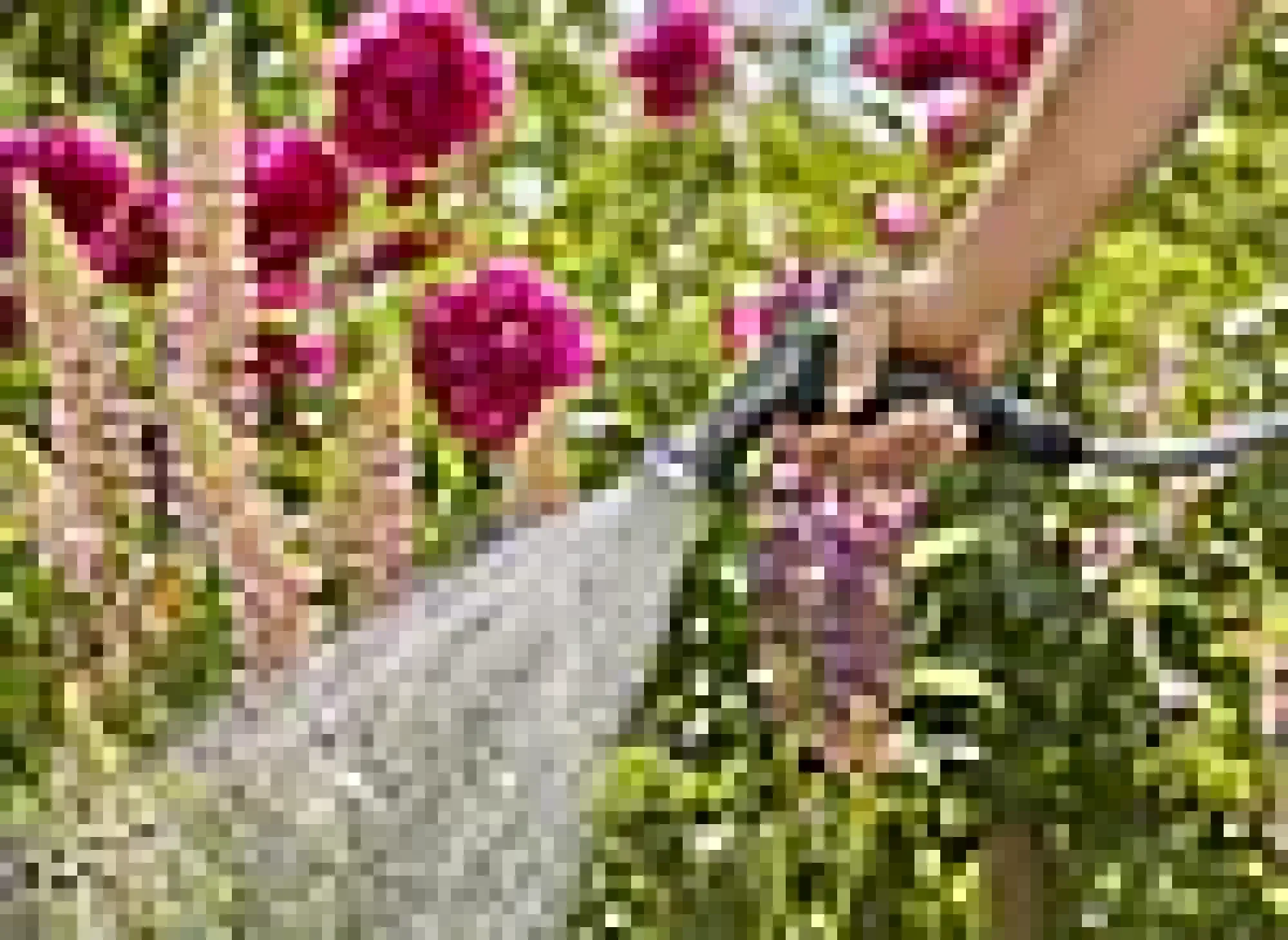 Vanningspistol Ecoline UV- og frostsikker-Gardena