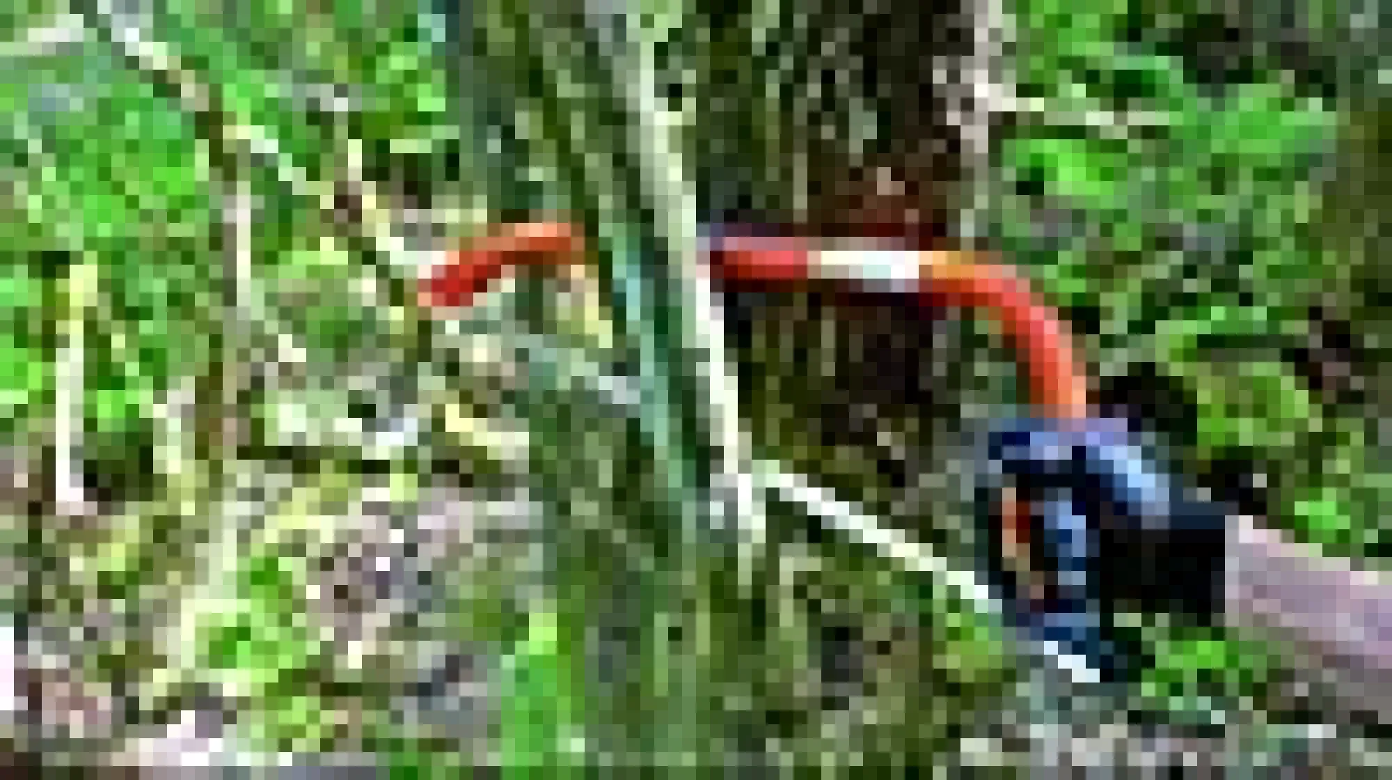 Vedsagblad 23-30" 759mm-Bahco New